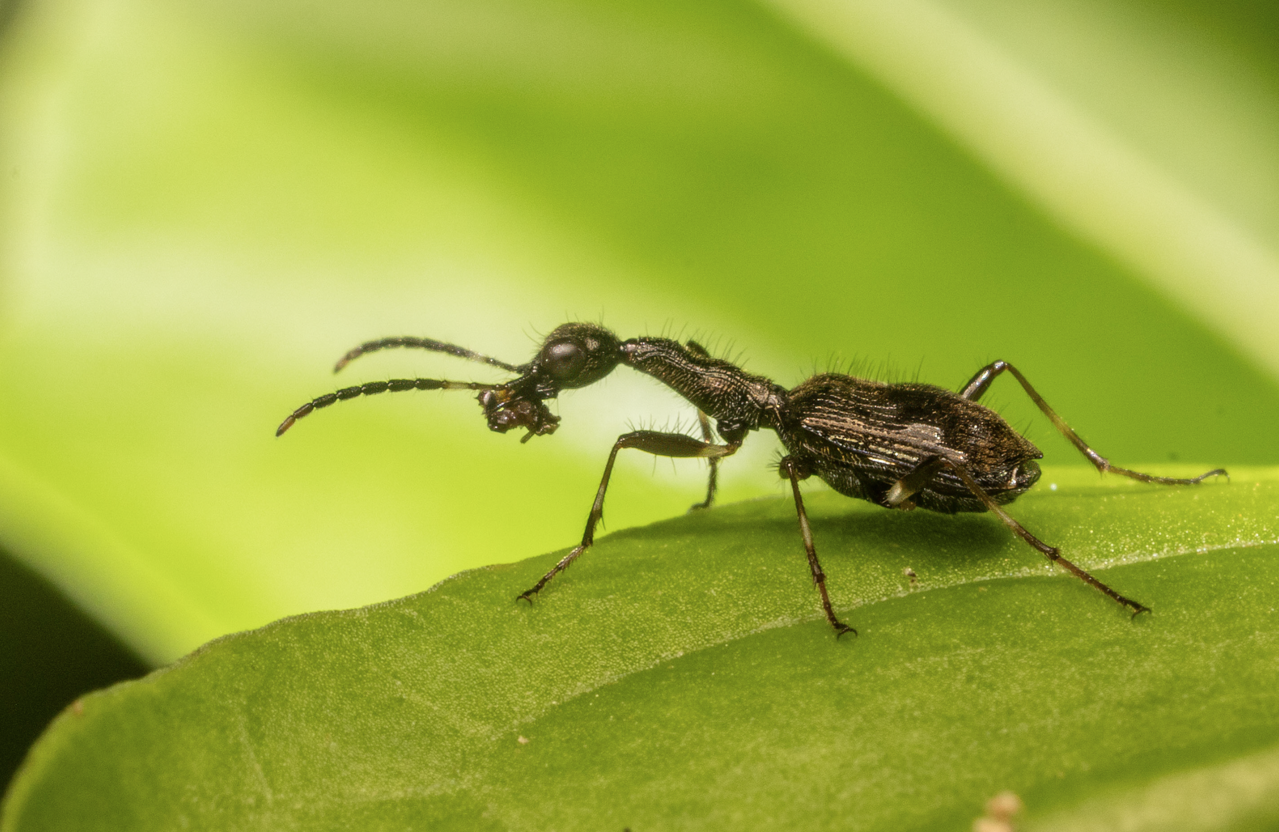 Screenshot 2026-04-03 at 12.57.48 PM.png