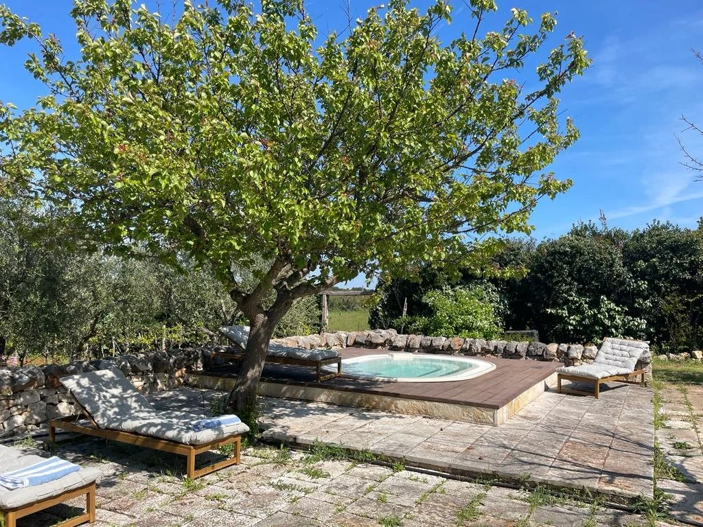 WhatsApp Image 2023-11-27 at 14.29.22 (11).jpeg