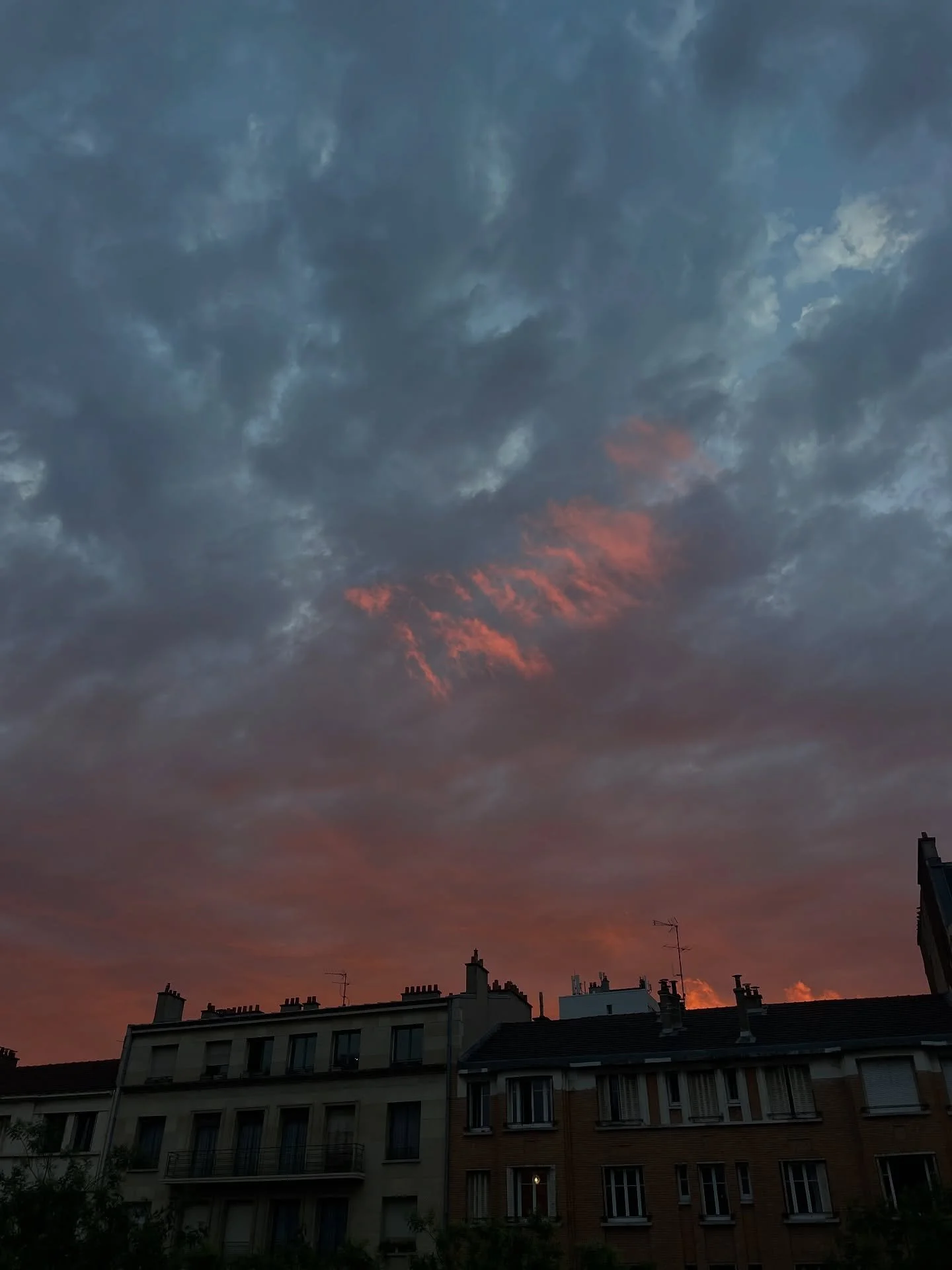 Juillet 🦐✨💗🖼️