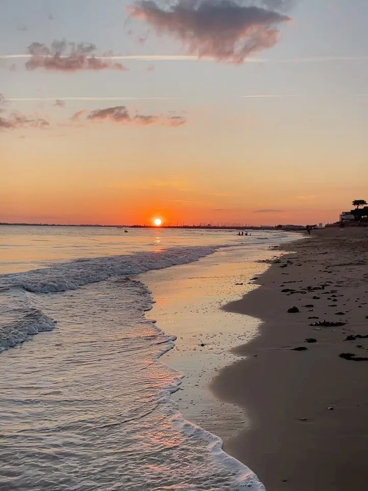 Pre-summer break 🌞🦪🐚🦞