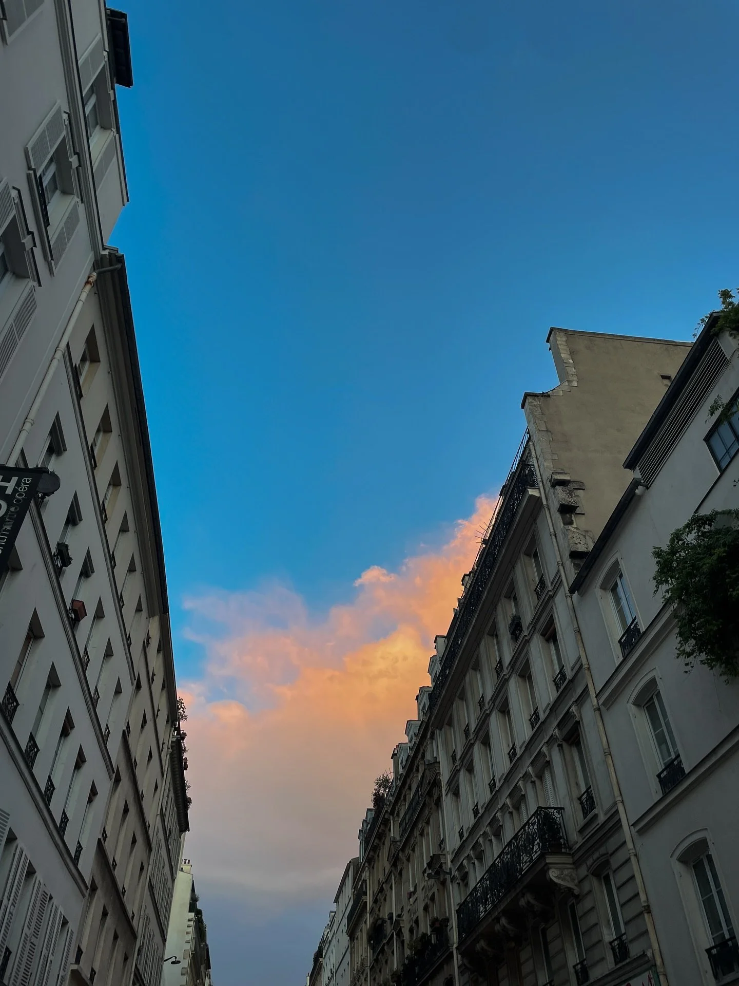 Unposted until now 🌹💗 Fragments d&rsquo;une vie qui d&eacute;file.