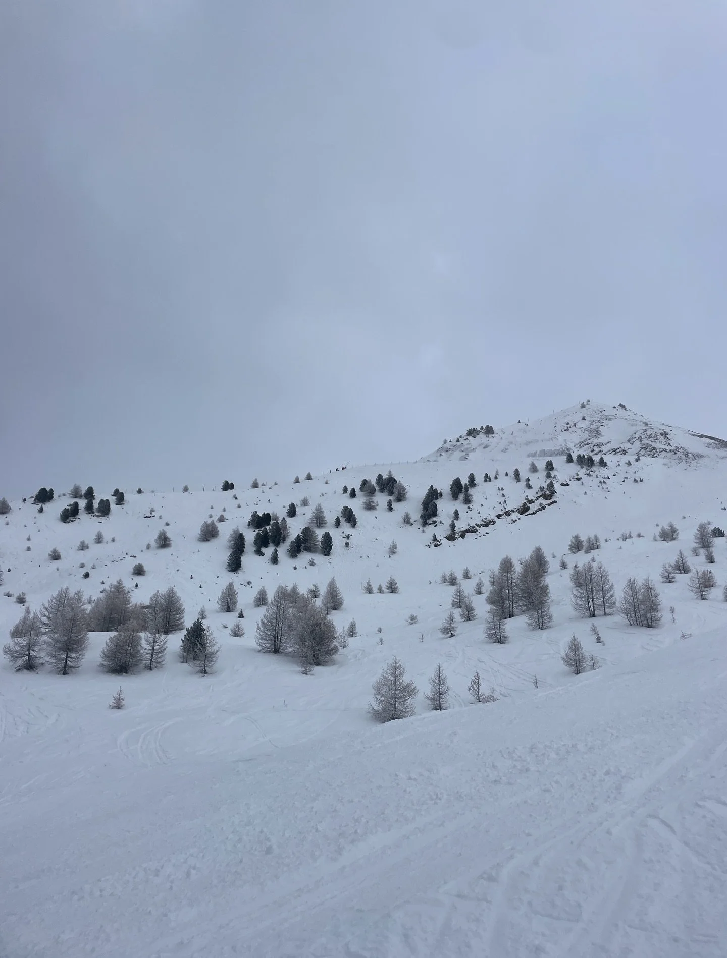 Snowy Christmas 🎄⛷️❄️🦦