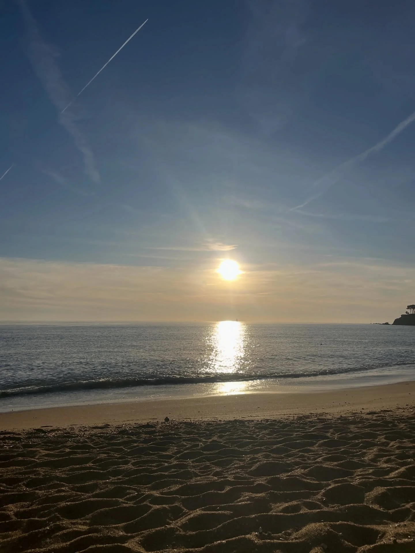 Deep January 🌪️🌹✨👩🏻&zwj;🎨🐚❄️ Il est d&eacute;sormais temps de clore le mois le plus long de l&rsquo;ann&eacute;e.