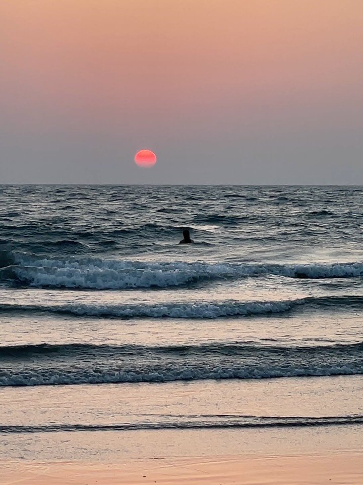 Goa 2026 🪷🇮🇳 J&rsquo;ai pass&eacute; des vacances merveilleuses et ressour&ccedil;antes. Pour cette premi&egrave;re fois en Inde, je n&rsquo;avais aucune attente particuli&egrave;re, si ce n&rsquo;est l&rsquo;envie de prendre du temps pour moi.

D