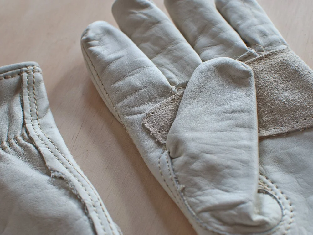 Cactus Gloves  Mother Co., Plants