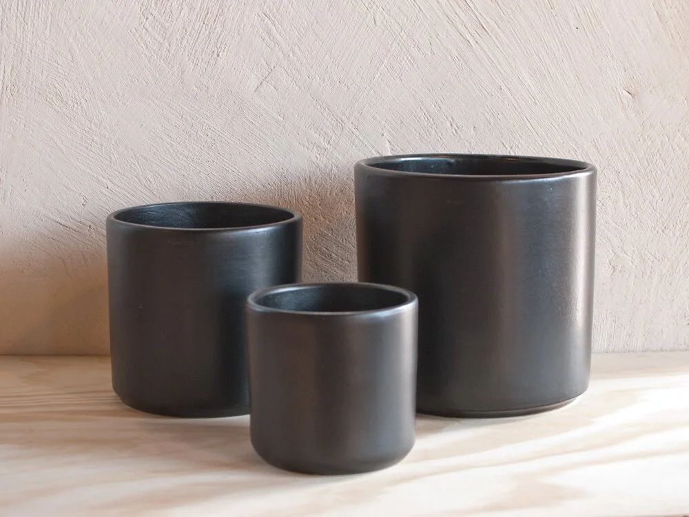 Black Glazed Pottery  Mother Co., Plants