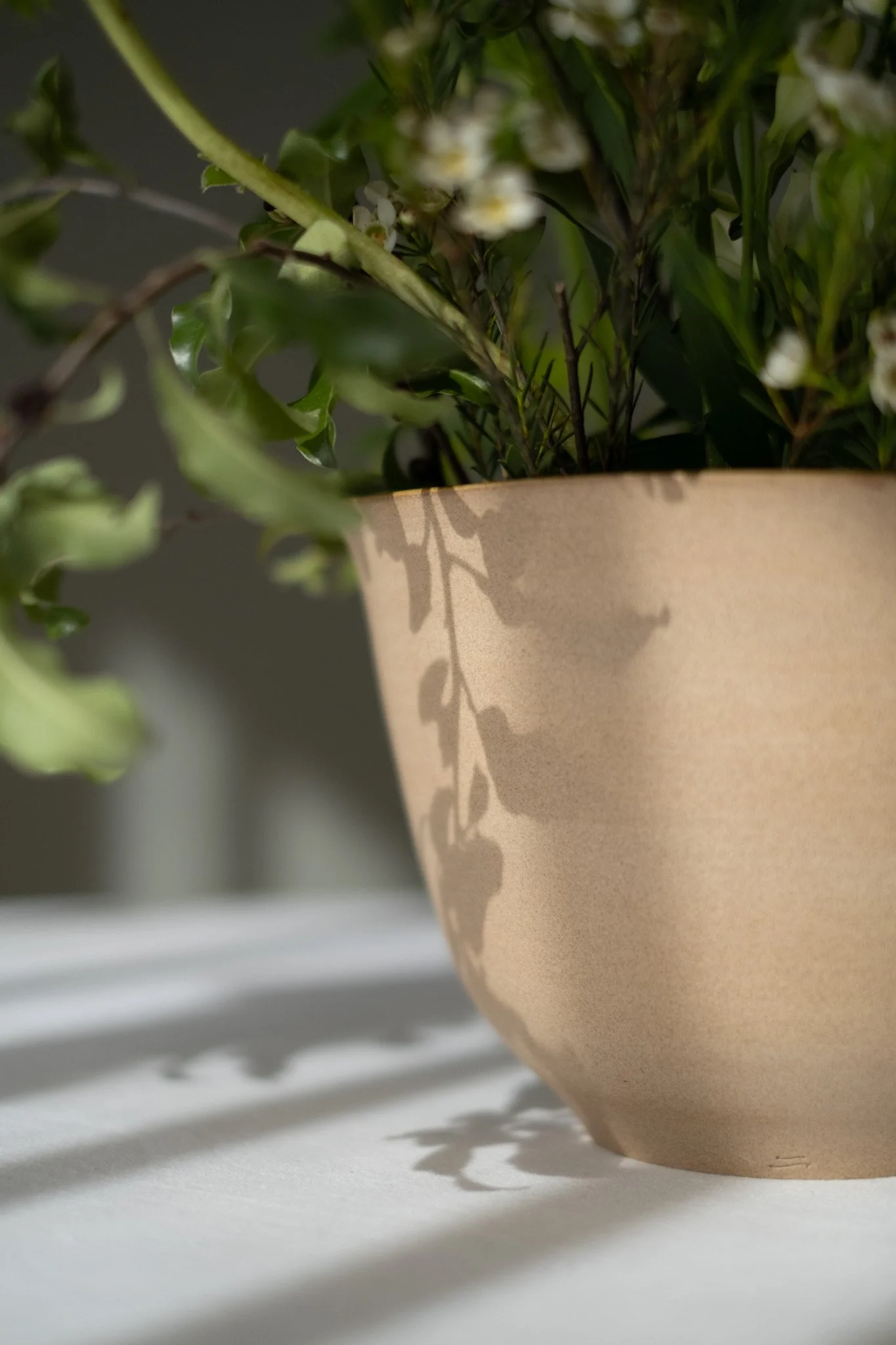 26_03_shop update_372.jpg