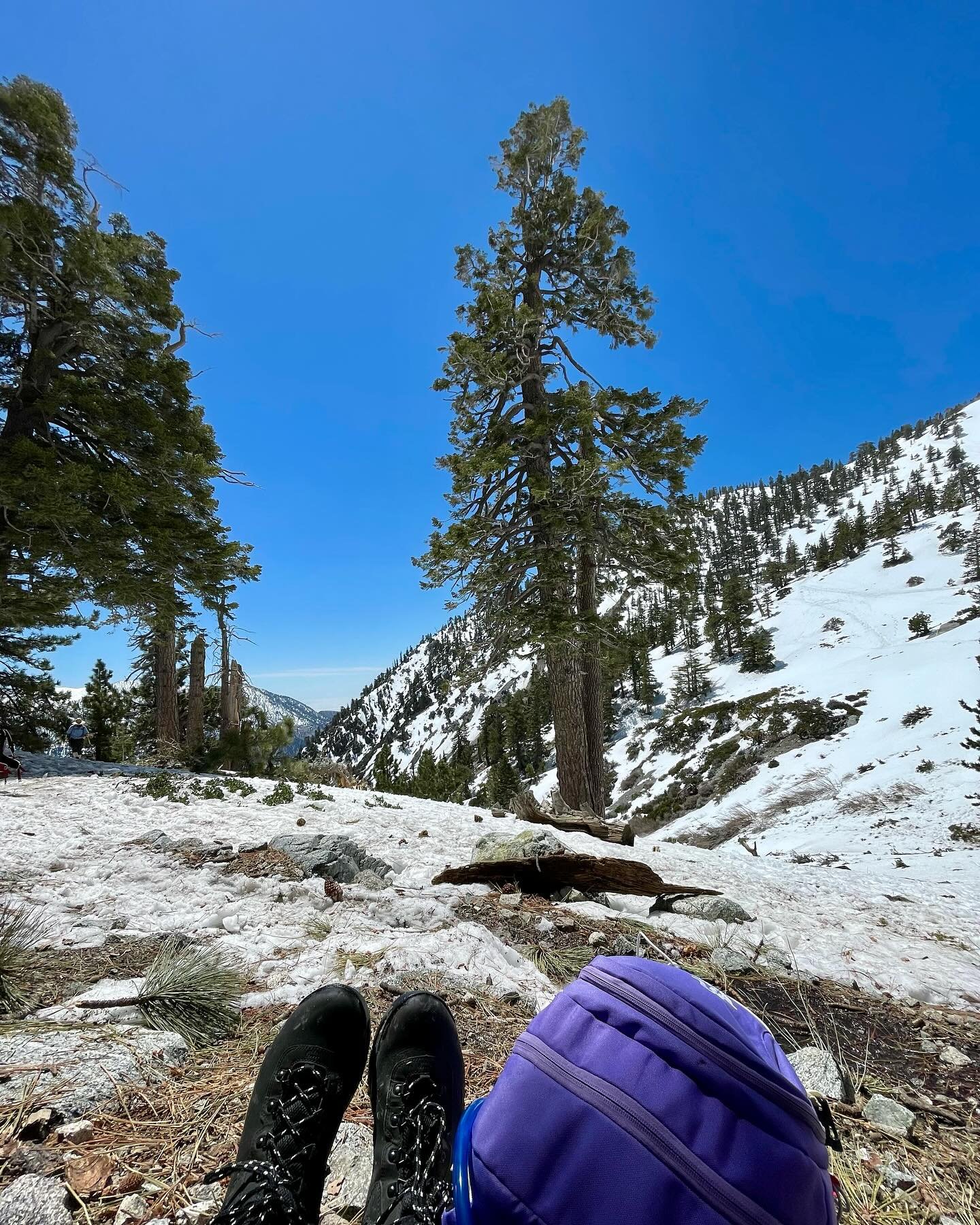 still posting pictures from last month&rsquo;s #angelesnationalforest trip? duh!! it was such a beautiful goofy fun gorgeous time

side note - if you like this song, go to youtube and search these words: big boi kate bush pitchfork verses