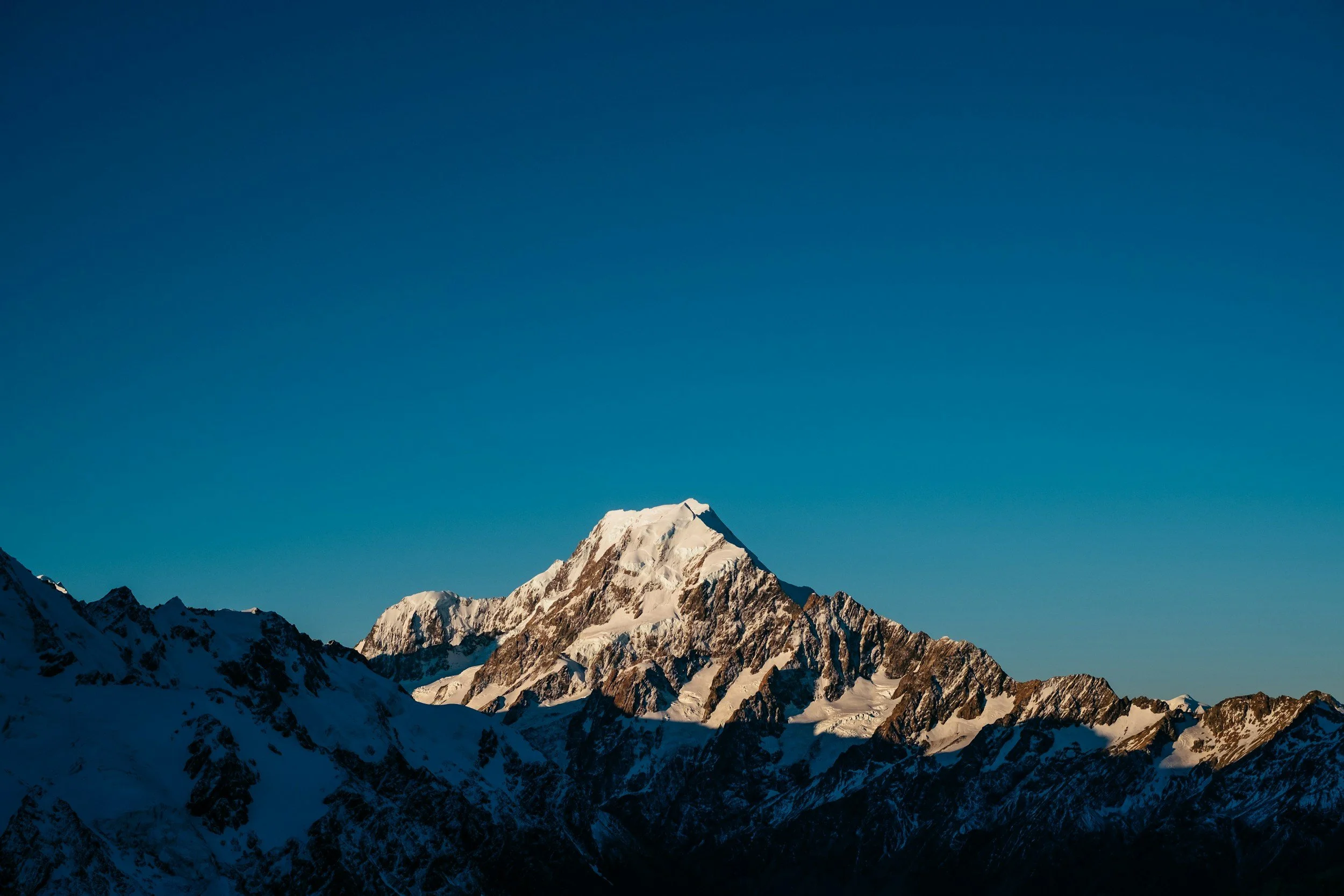 Is Leadership Actually Looking at the Salesforce Dashboards We Built Them?