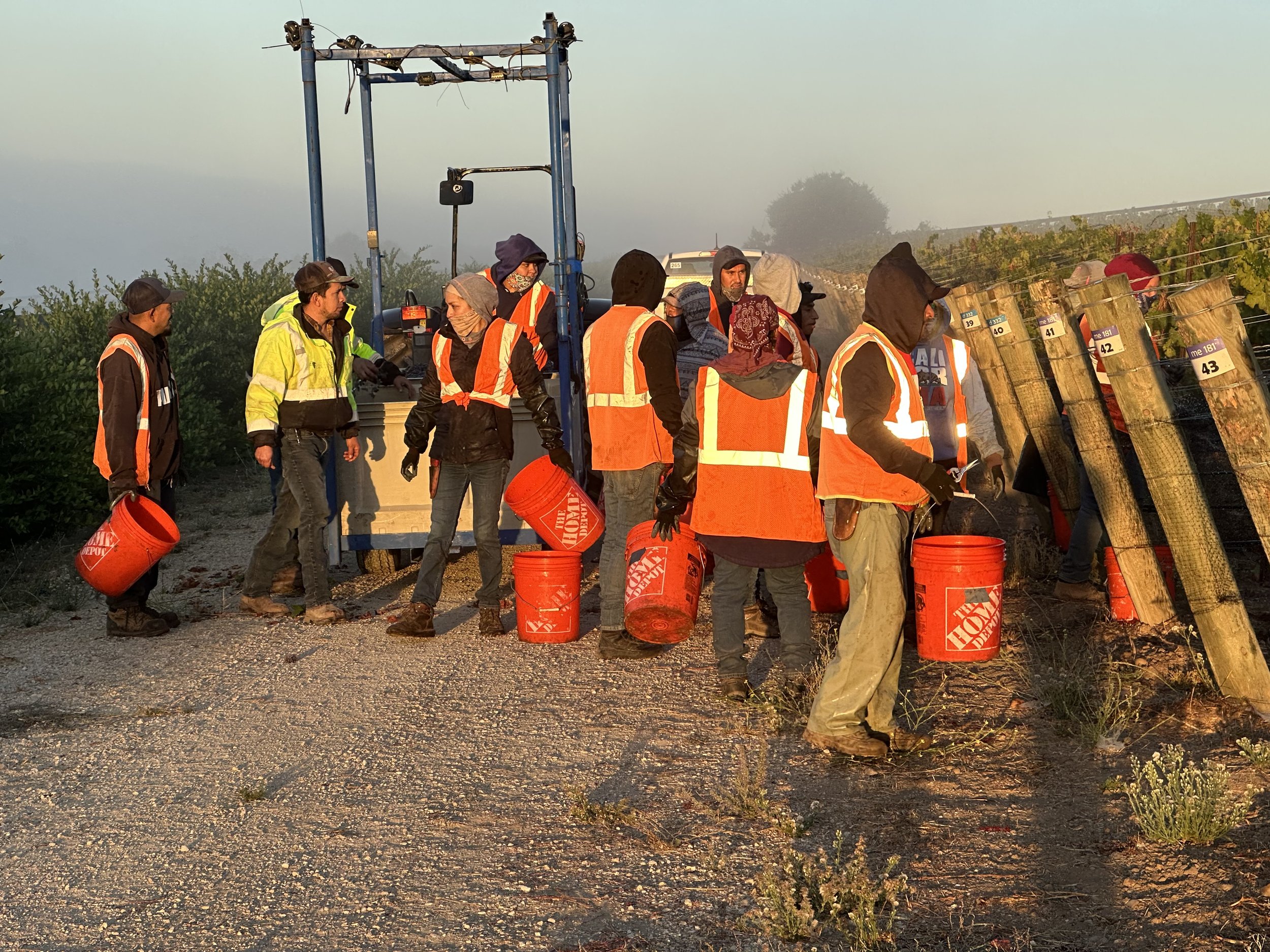 Picking crew getting started.