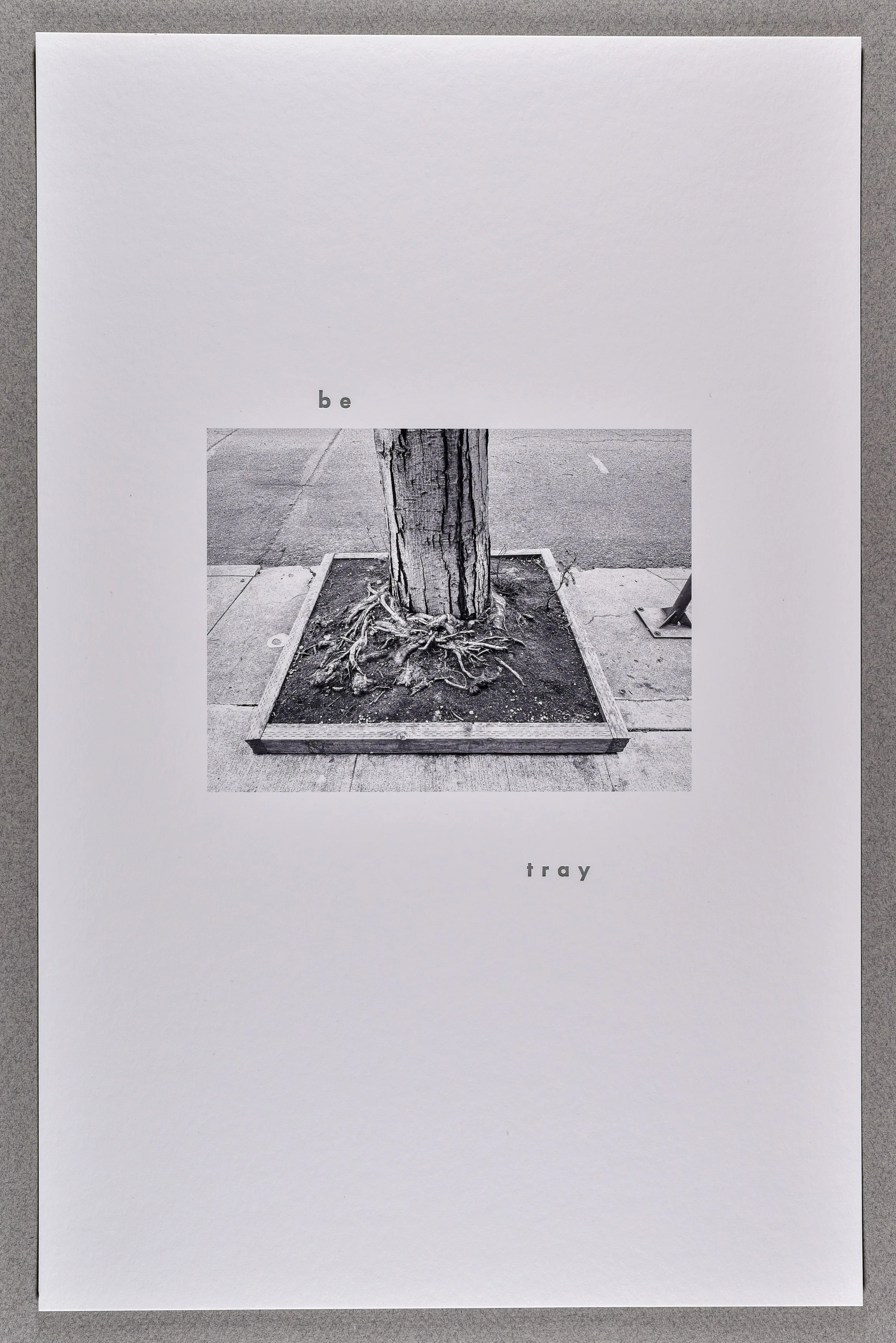 betray- from the series grates- , 2025, archival inkjet print with letterpress text, 17 x 11"
