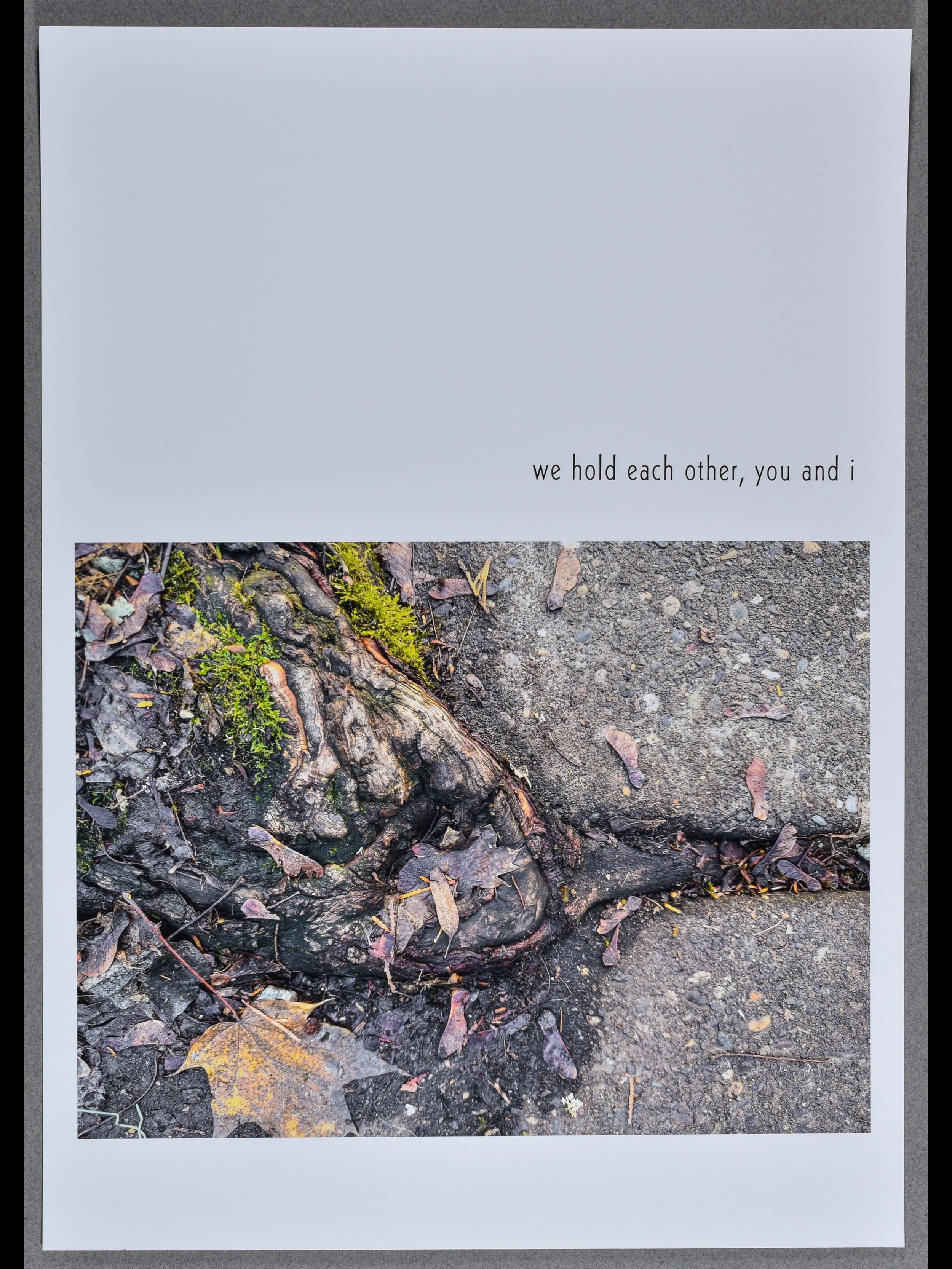 in conversation 9, 2025, archival inkjet print with letterpress text, 15.5 x 11" each