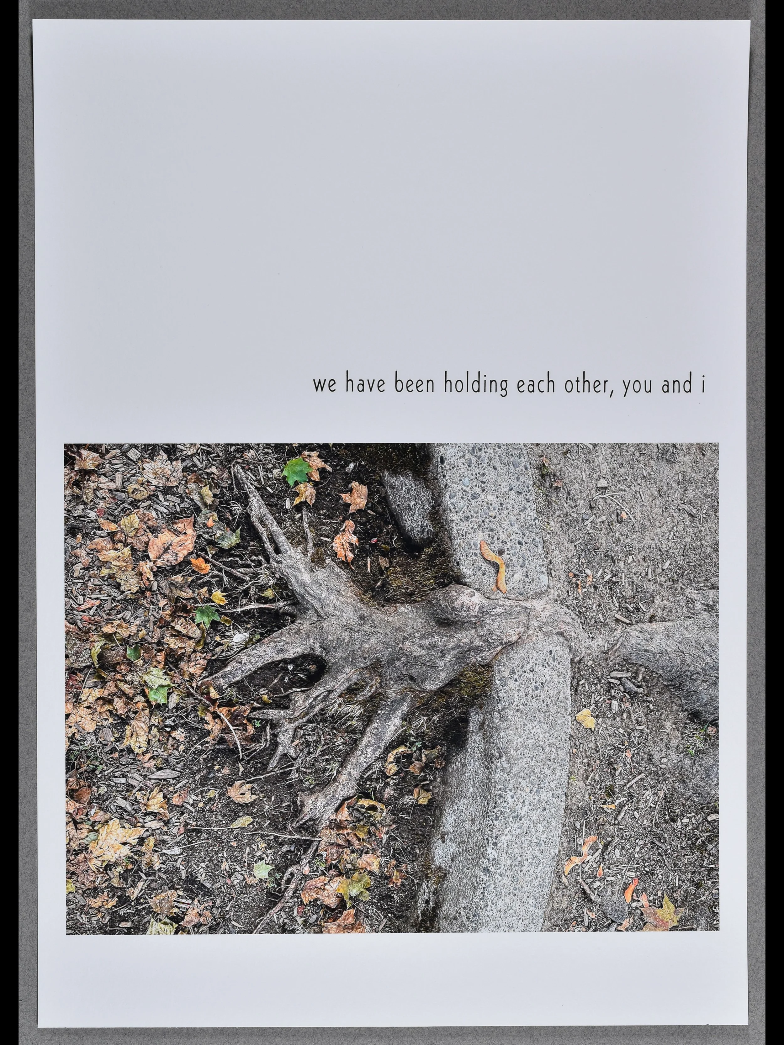 in conversation 12, 2025, archival inkjet print with letterpress text, 15.5 x 11" each