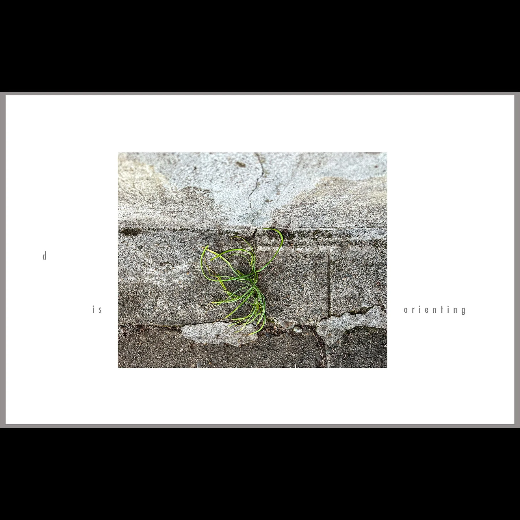 d is orienting, 2026, archival inkjet print with letterpress text, 11 x 17"