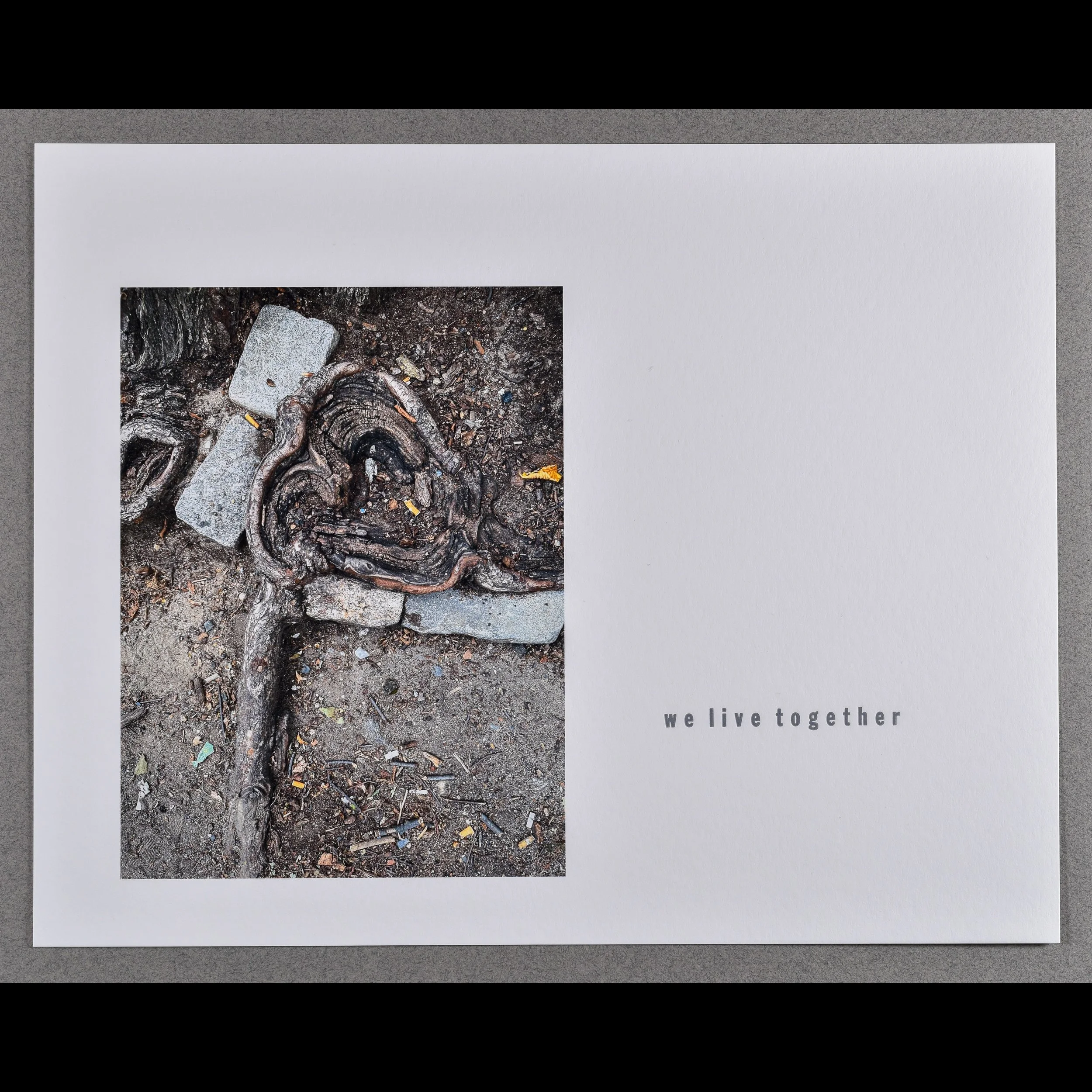 live 1, 2025, archival inkjet print with letterpress text, 11 x 14"
