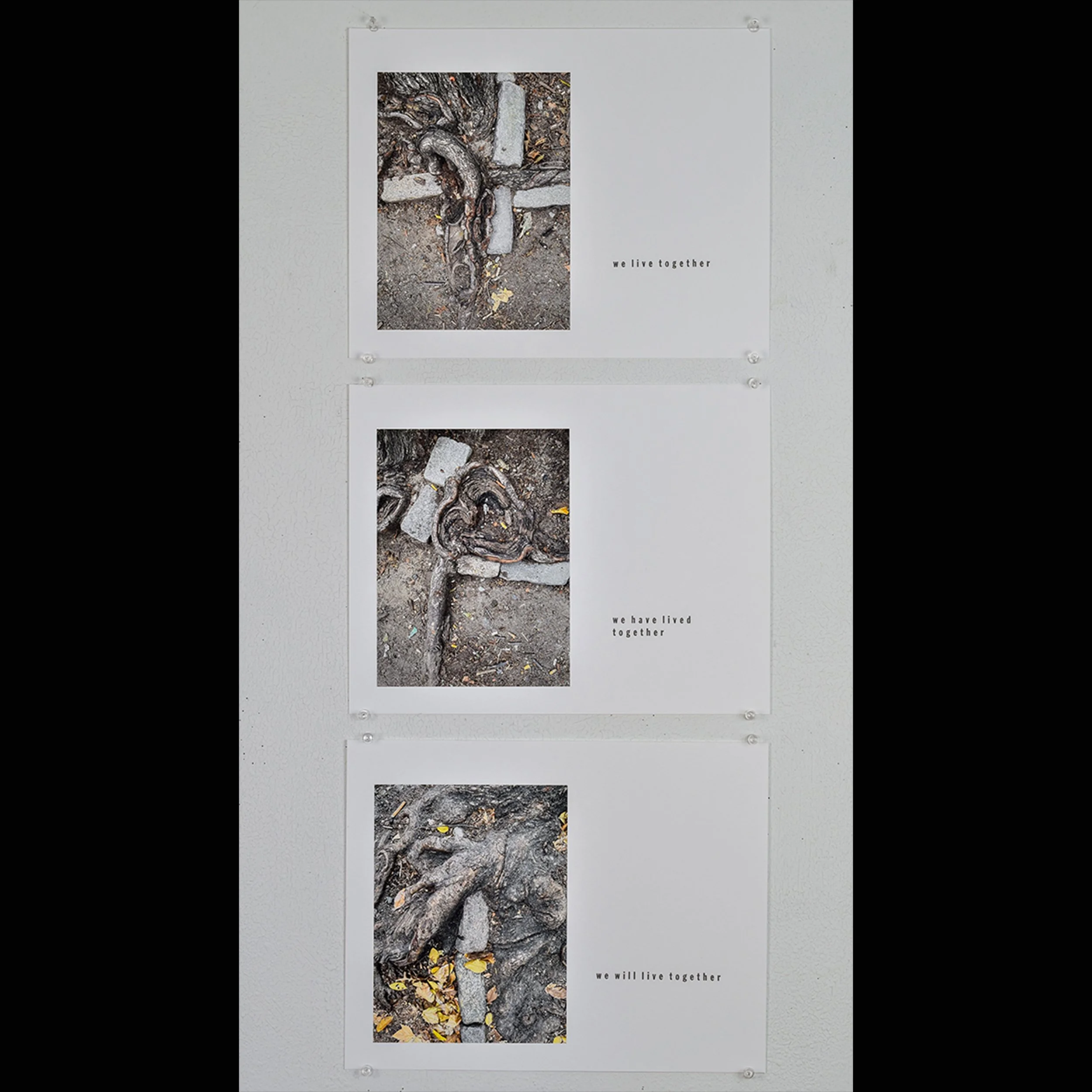 live 1-3, 2025, suite of 3 archival inkjet prints with letterpress text, 11 x 15" each