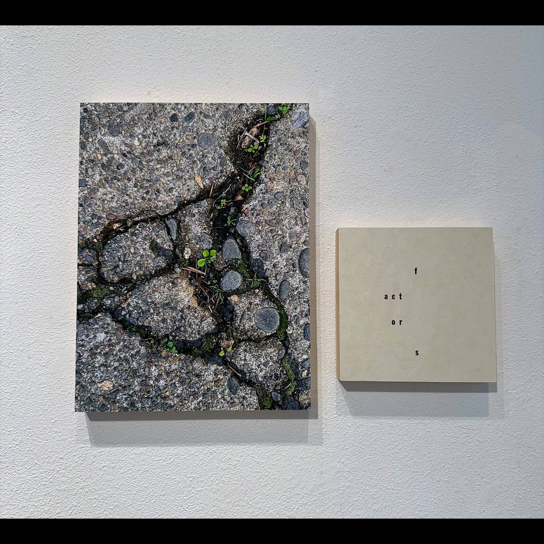 factors (diptych), 20206, archival inkjet print and letterpress print mounted on wood panels, 14 x 15" approx 