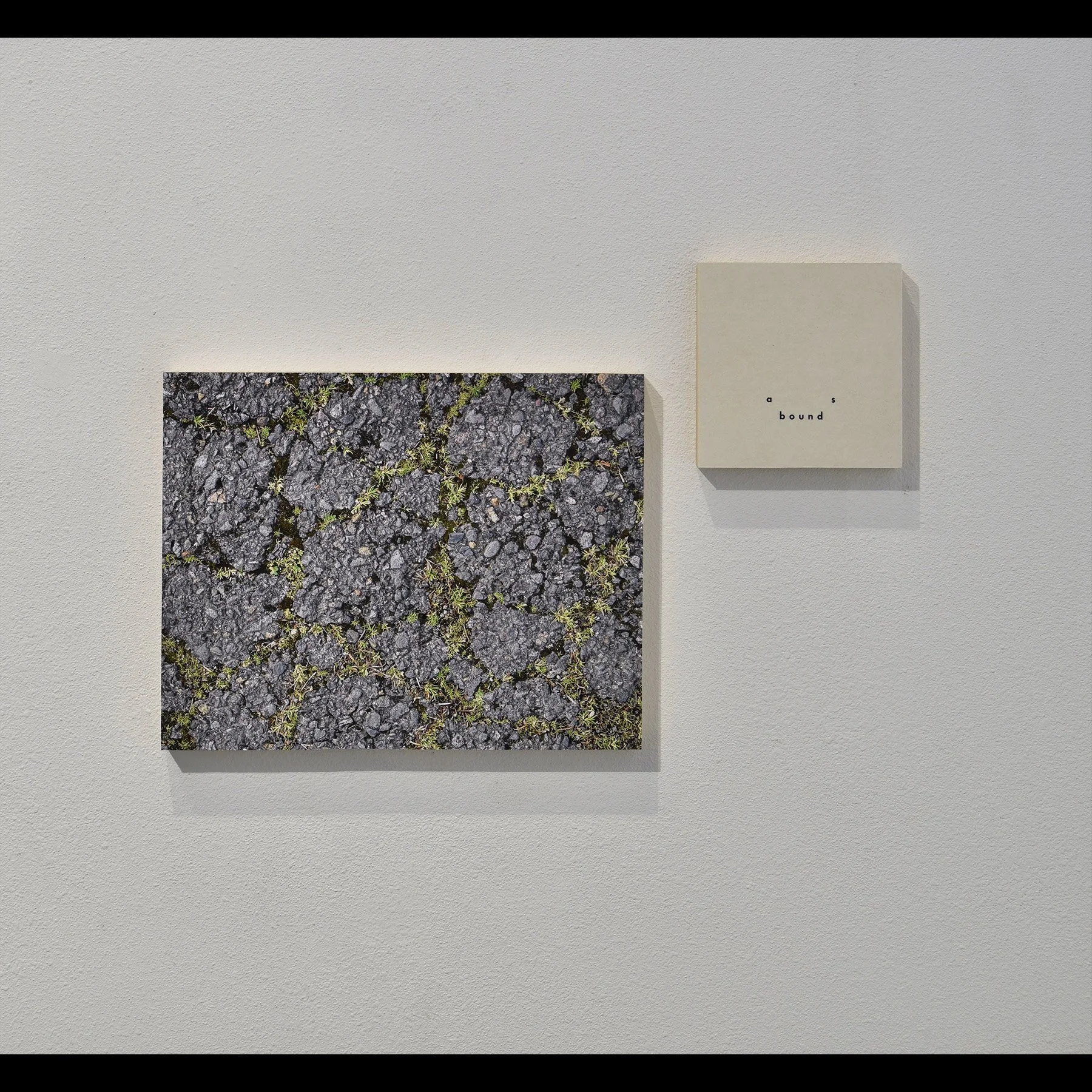 a bound s (diptych), 20206, archival inkjet print and letterpress print mounted on wood panels, 18 x 24" approx 