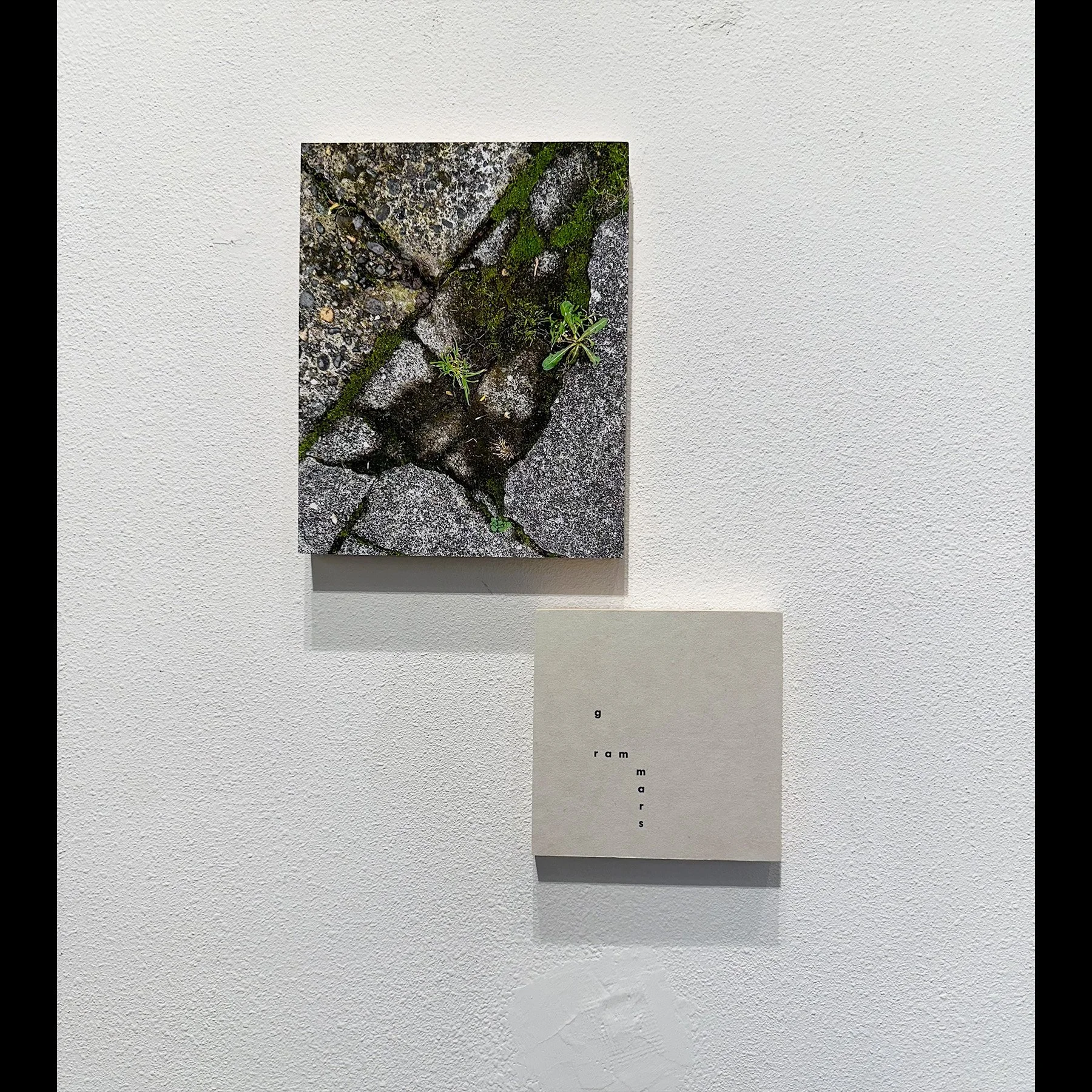 grammars (diptych), 20206, archival inkjet print and letterpress print mounted on wood panels, 20 x 16" approx 