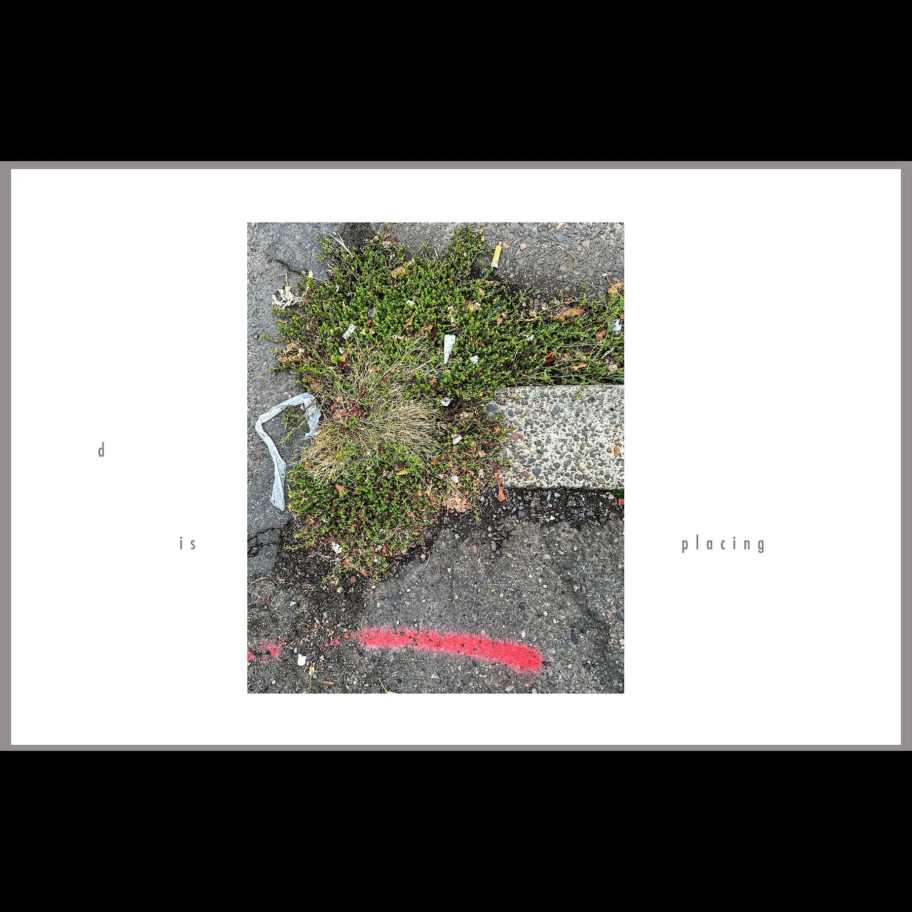 intimate strangers