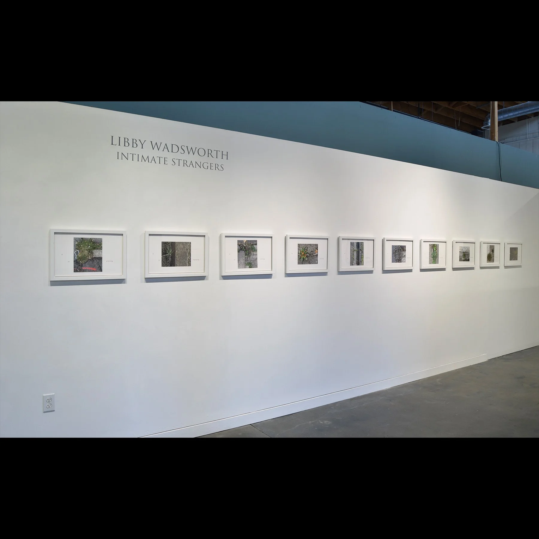 installation view 2026 at Blackfish Gallery, Portland, Or July 20206
