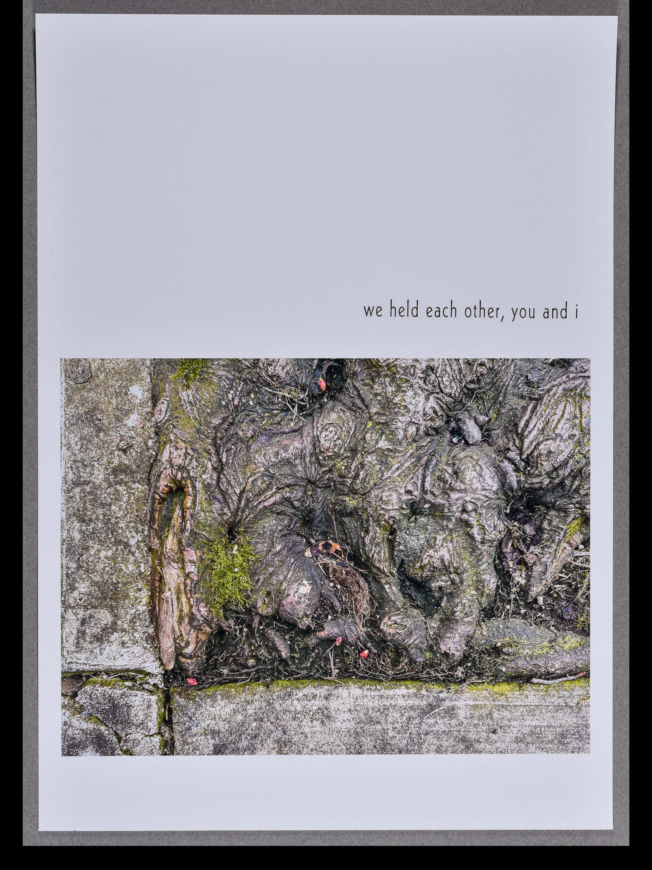 in conversation 5, 2025, archival inkjet print with letterpress text, 15.5 x 11" each