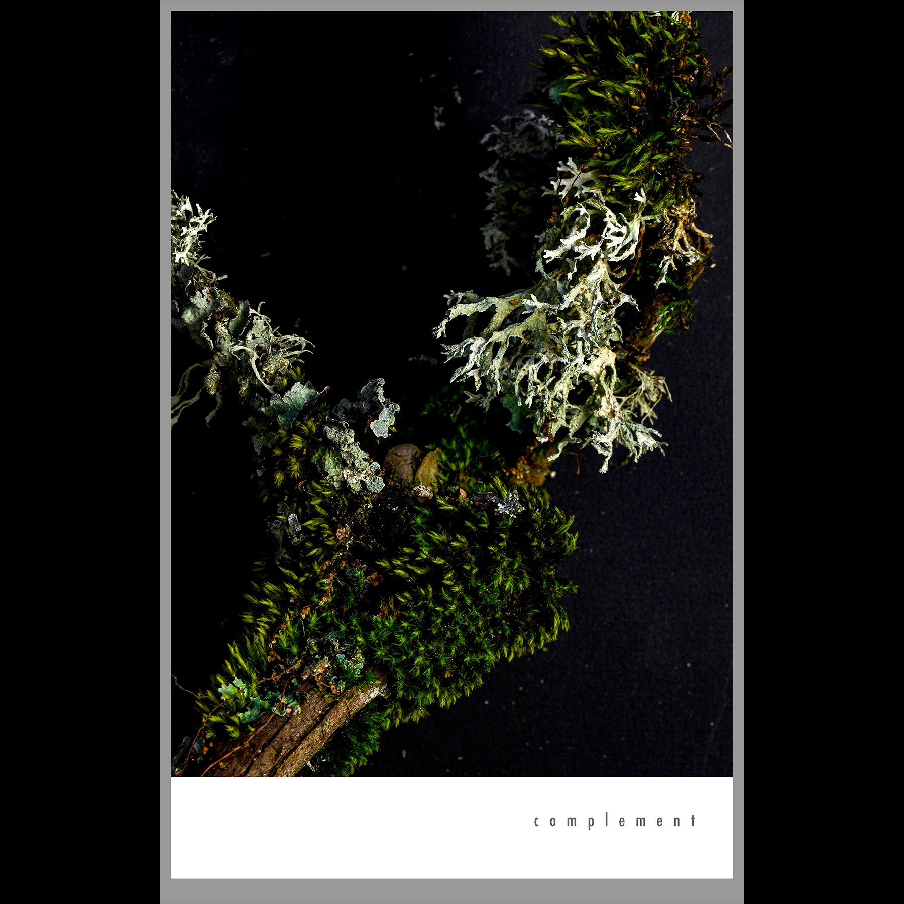 complement, 2026, archival inkjet print with letterpress text mounted on wood panel, 17 x 11 x 1"