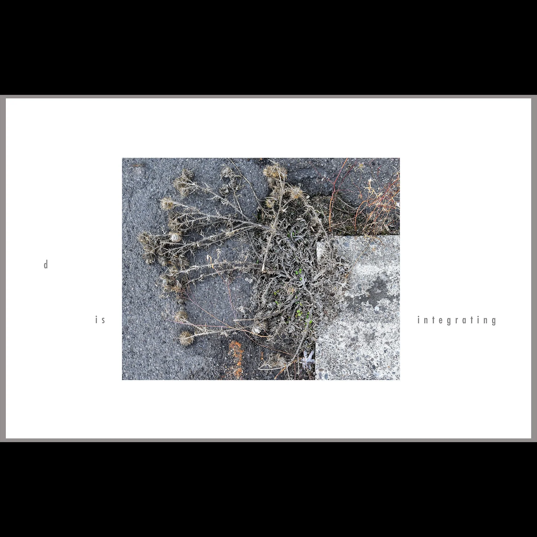 d is integrating, 2026, archival inkjet print with letterpress text, 11 x 17"