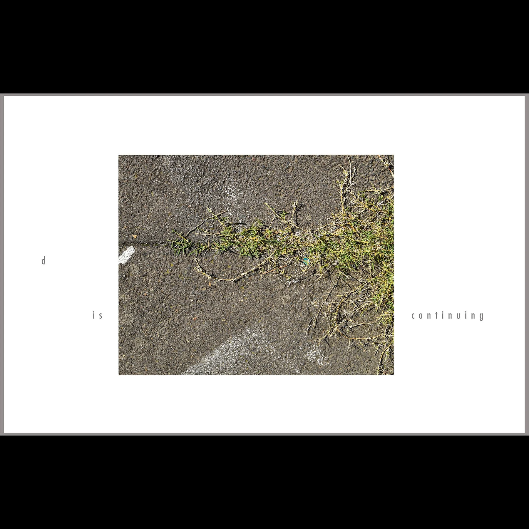 d is continuing, 2026, archival inkjet print with letterpress text, 11 x 17"