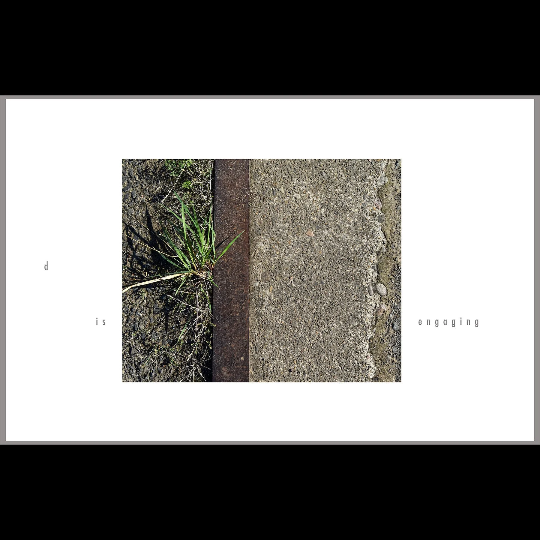 d is regarding, 2026, archival inkjet print with letterpress text, 11 x 17"