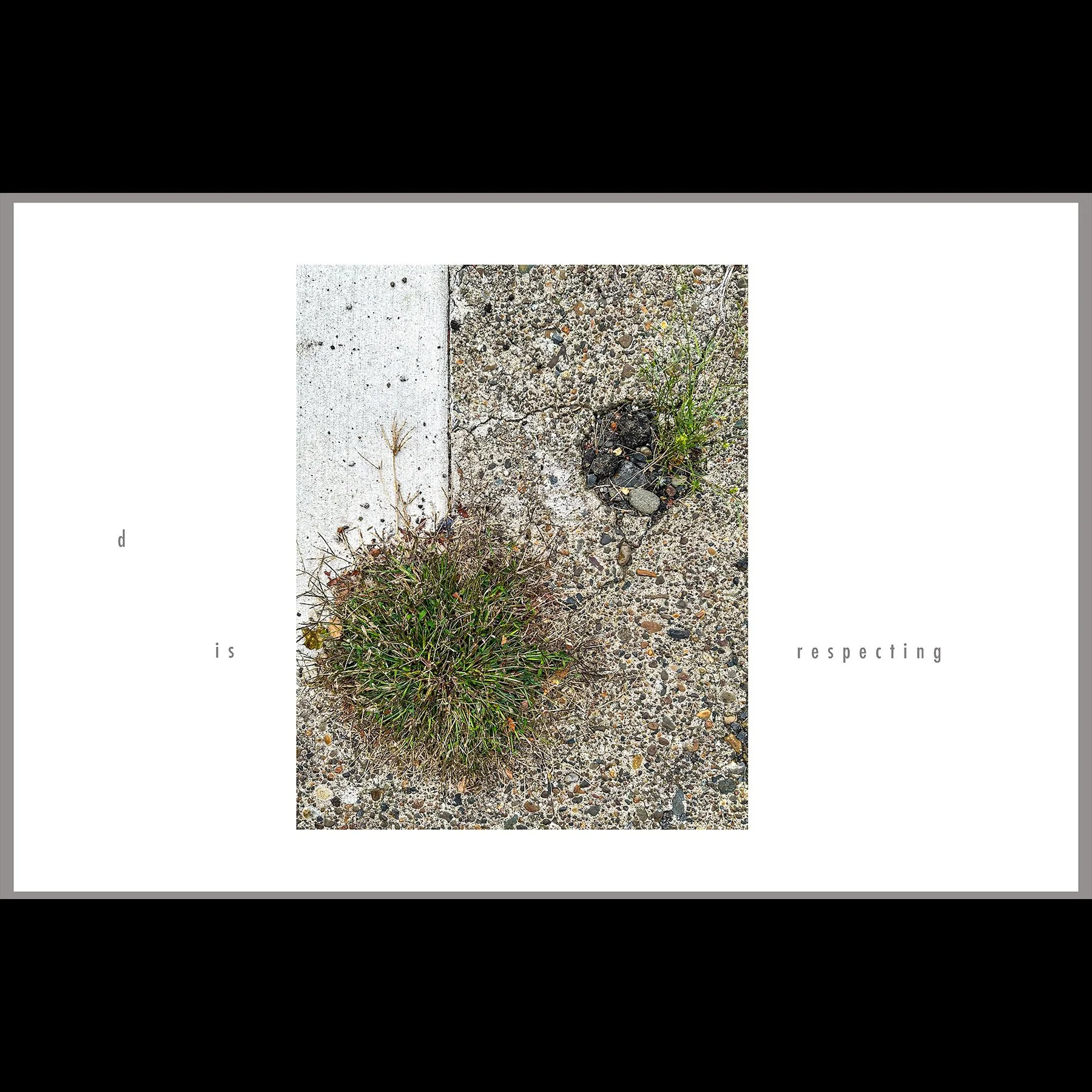 d is respecting, 2026, archival inkjet print with letterpress text, 11 x 17"