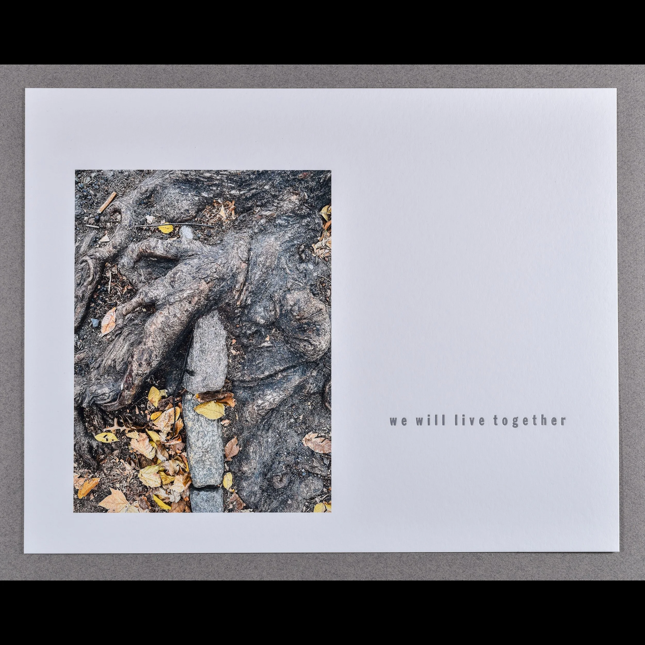 live 3, 2025, archival inkjet print with letterpress text, 11 x 14"