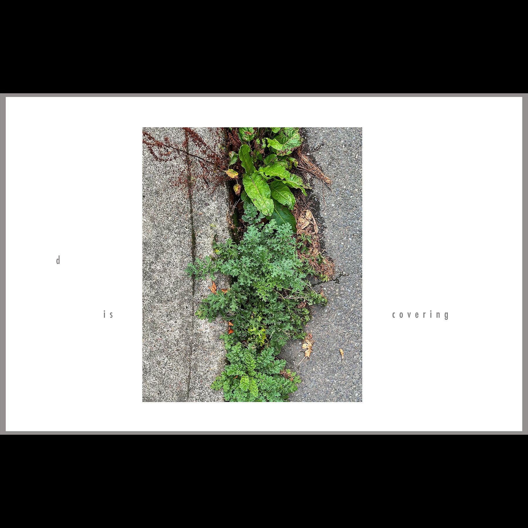 d is covering, 2026, archival inkjet print with letterpress text, 11 x 17"
