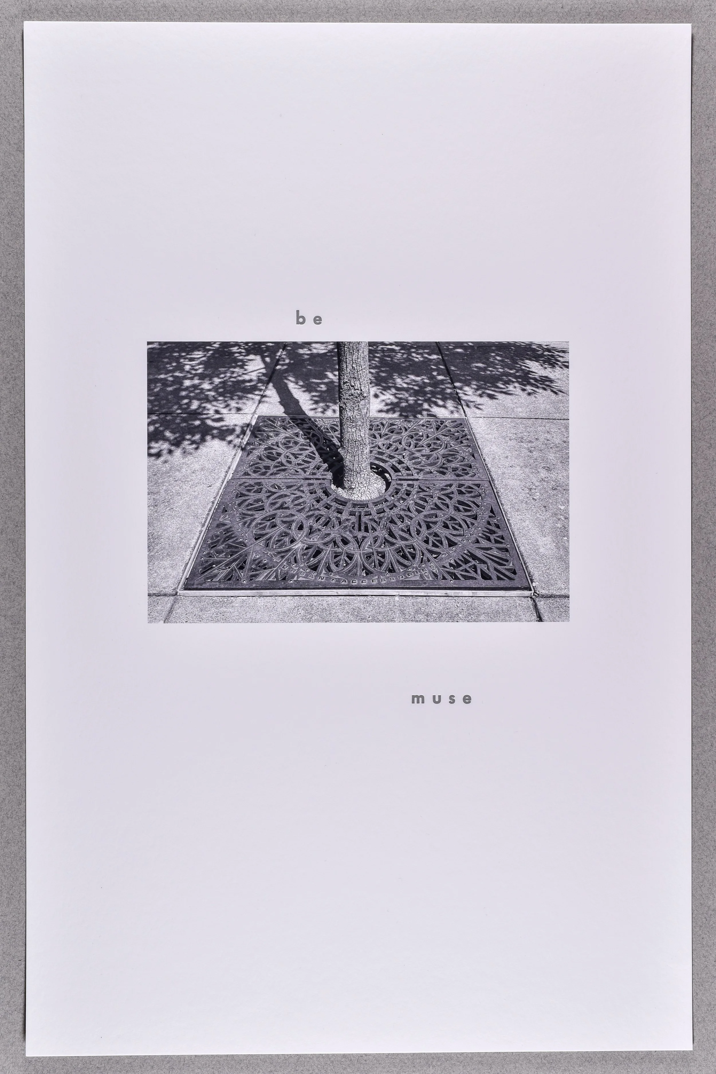 bemuse- from the series grates- , 2025, archival inkjet print with letterpress text, 17 x 11"