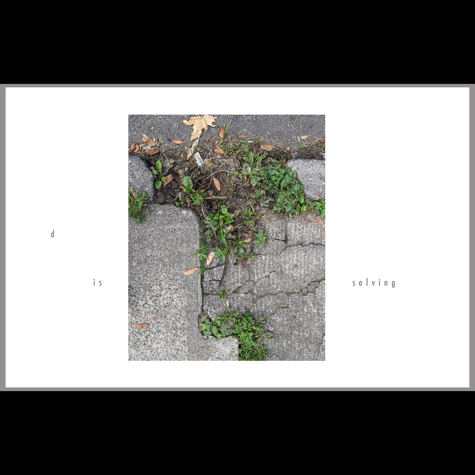 d is solving, 2026, archival inkjet print with letterpress text, 11 x 17"