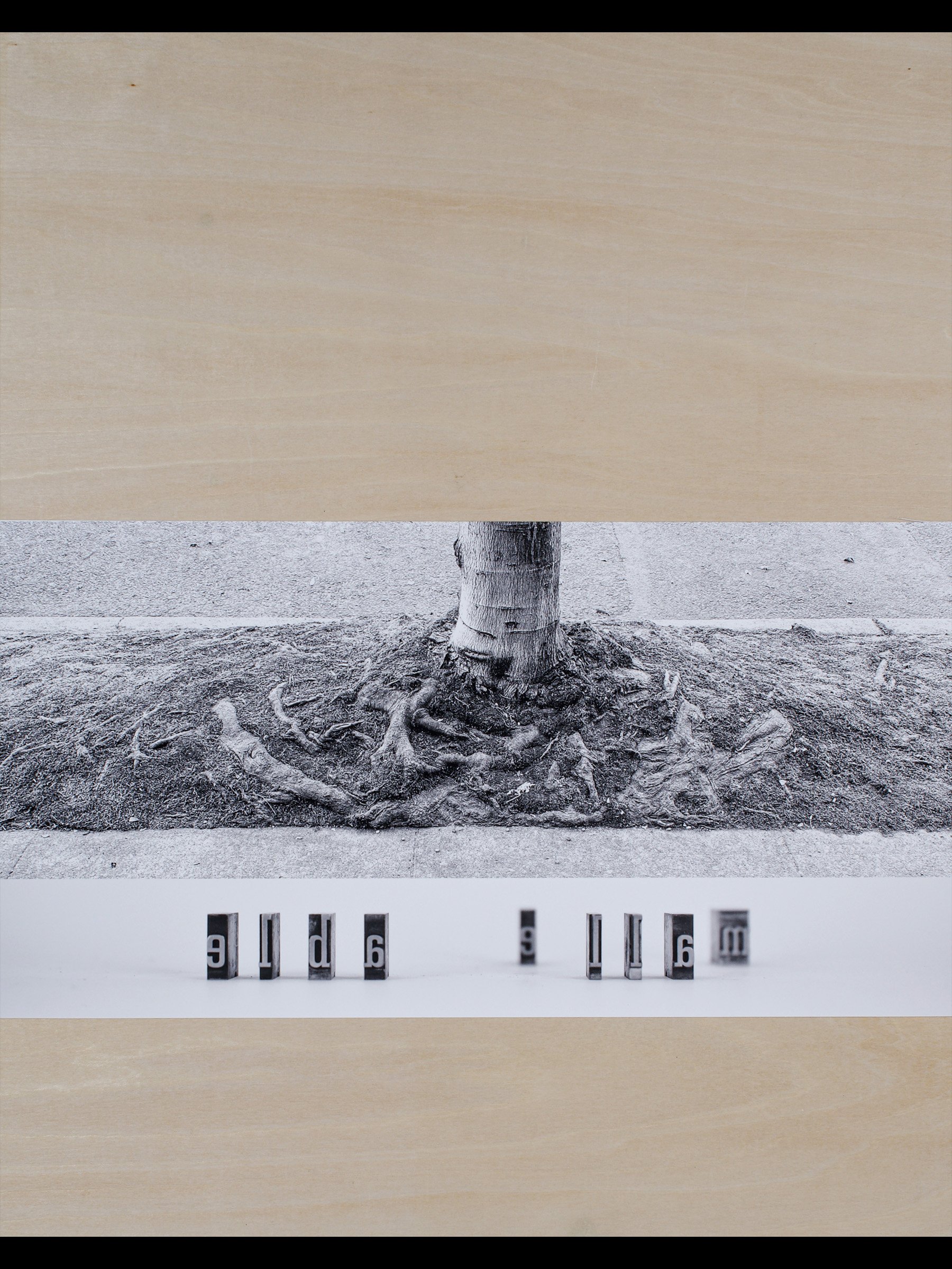 malleable, 2024 digital photocollage mounted on wood panel, 14 x 11"