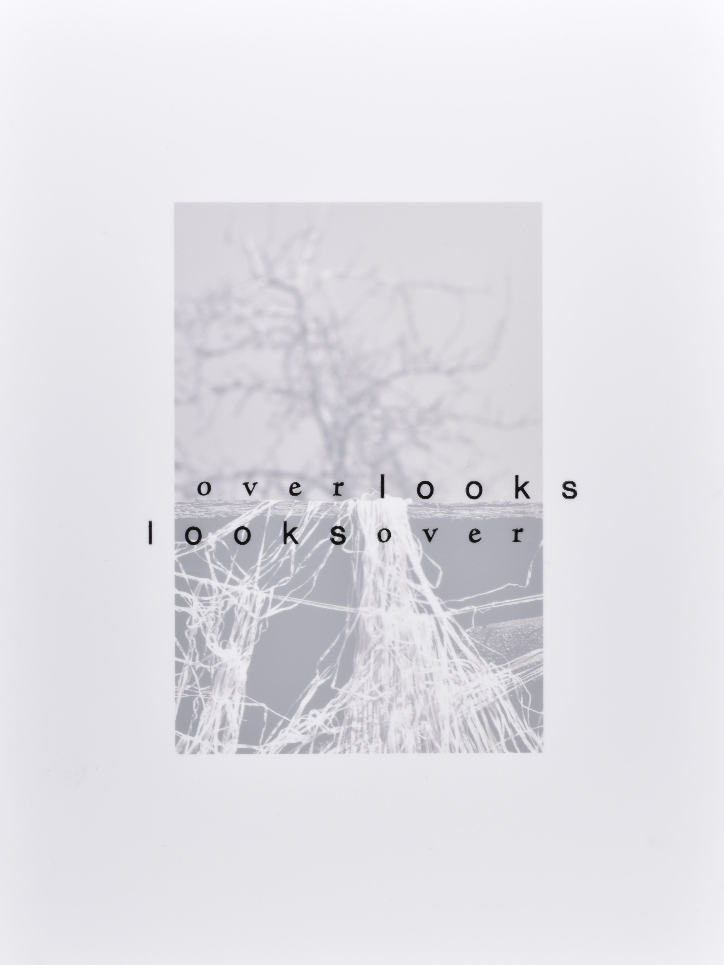 overlook, letterpress on Duralar over photograph, 11 x 8", 2021