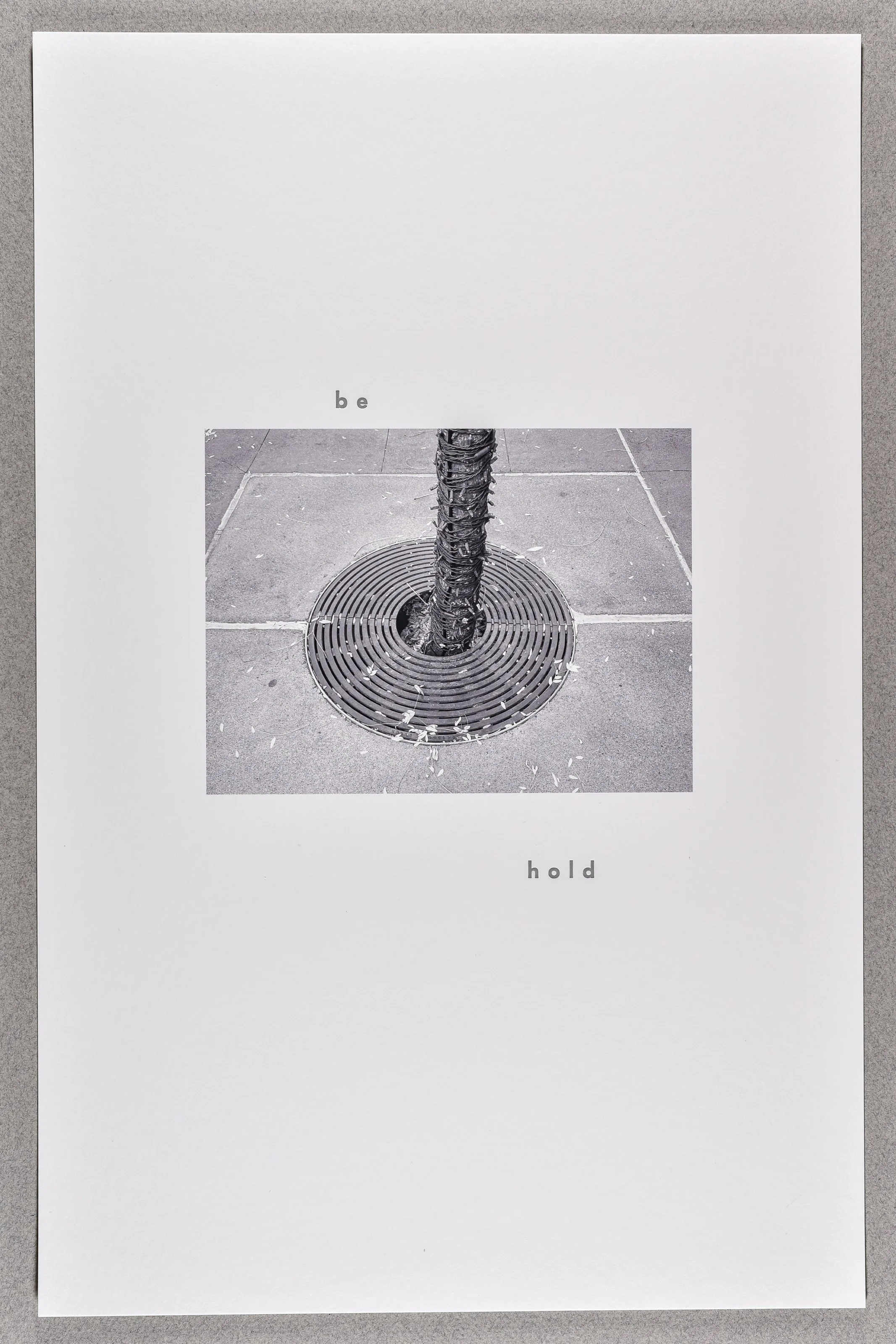 behold- from the series grates- , 2025, archival inkjet print with letterpress text, 17 x 11"