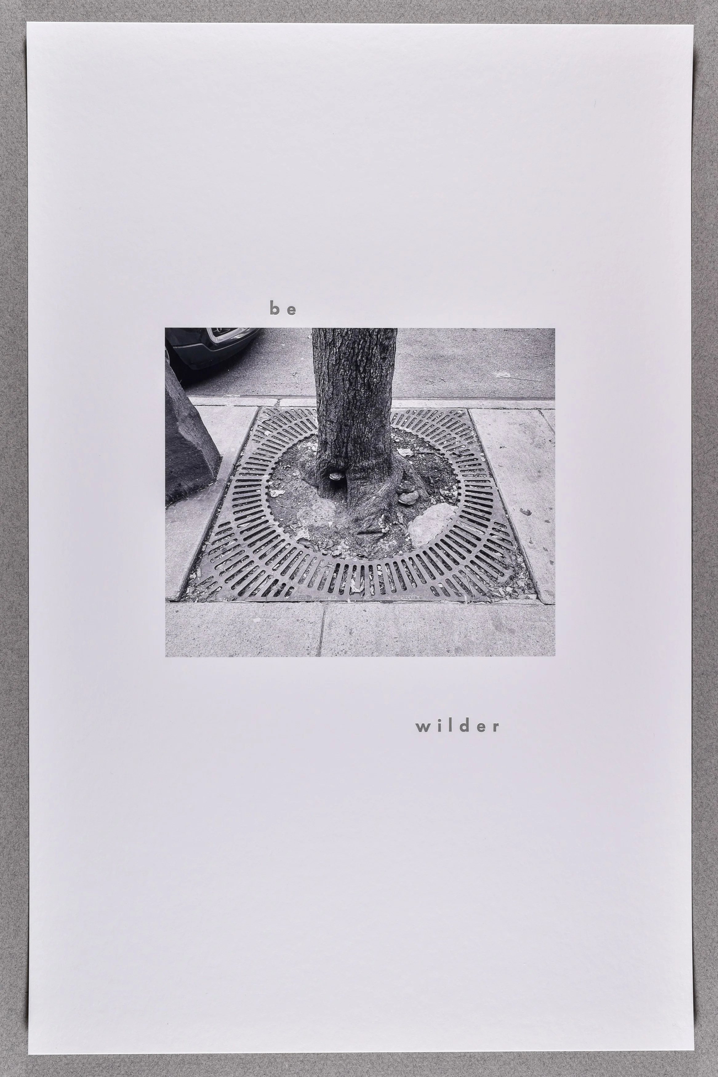 bewilder- from the series grates- , 2025, archival inkjet print with letterpress text, 17 x 11"