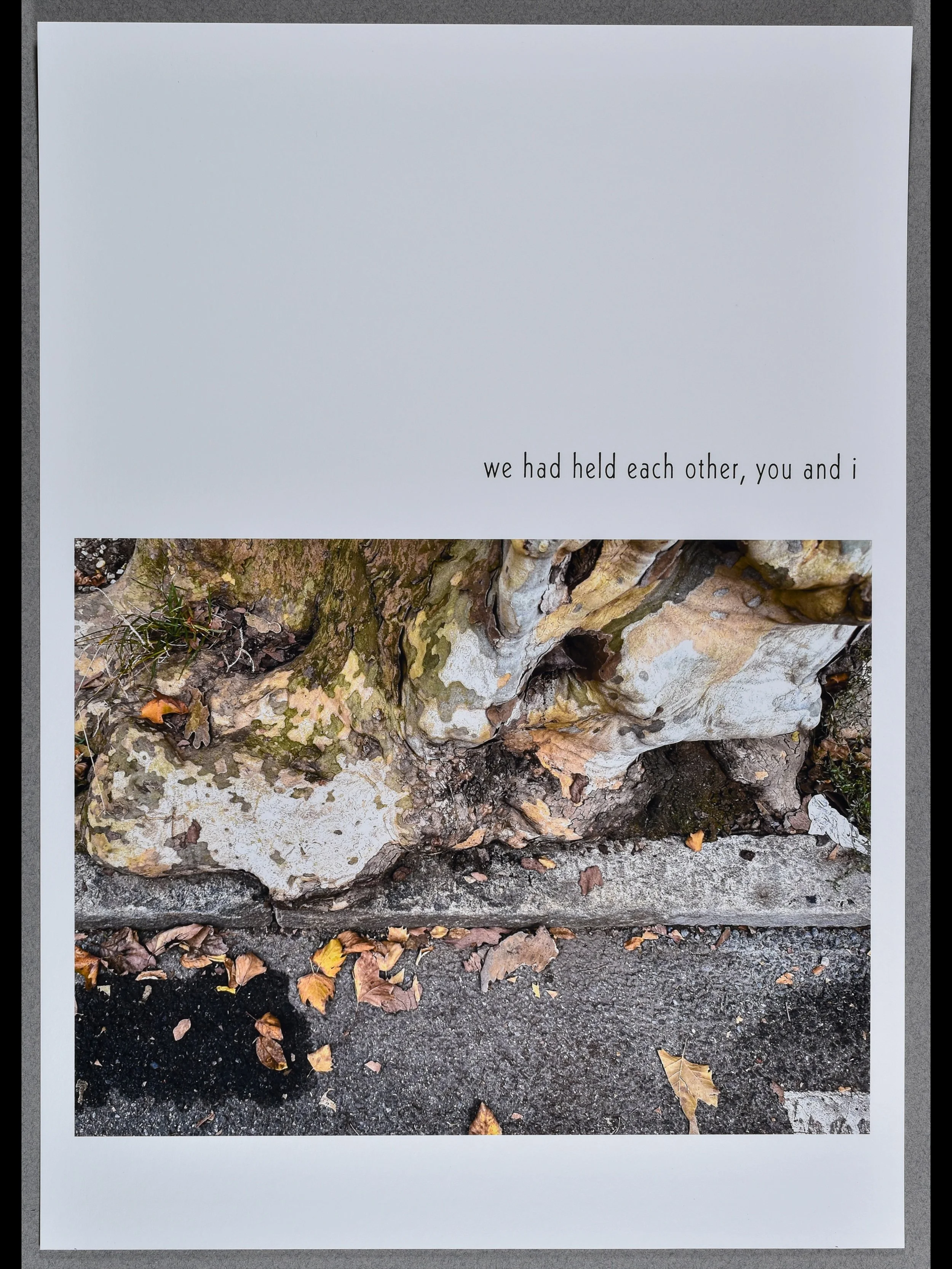 in conversation 7, 2025, archival inkjet print with letterpress text, 15.5 x 11" each
