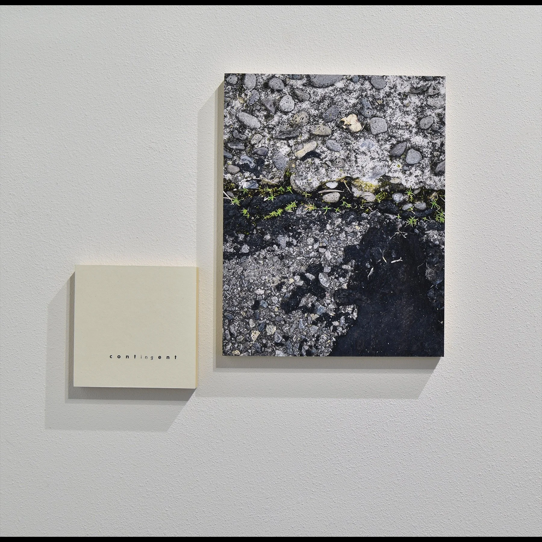 contingent (diptych), 20206, archival inkjet print and letterpress print mounted on wood panels, 14 x 20" approx 