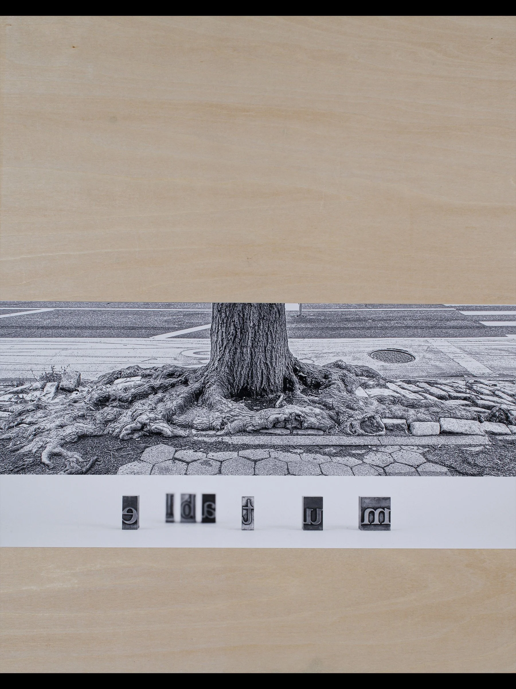 mutable, 2024 digital photocollage mounted on wood panel, 14 x 11"