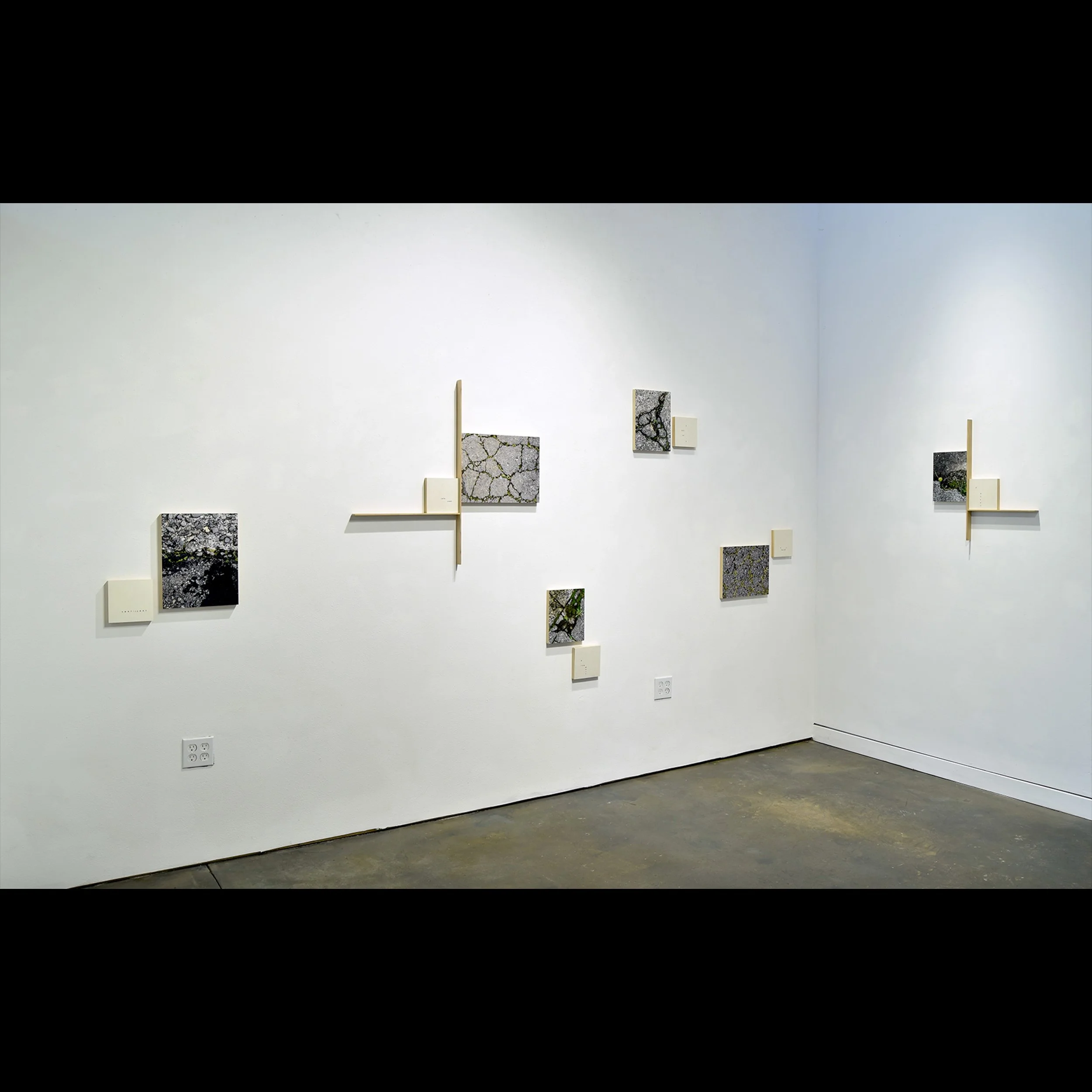 right corner view, Blackfish gallery