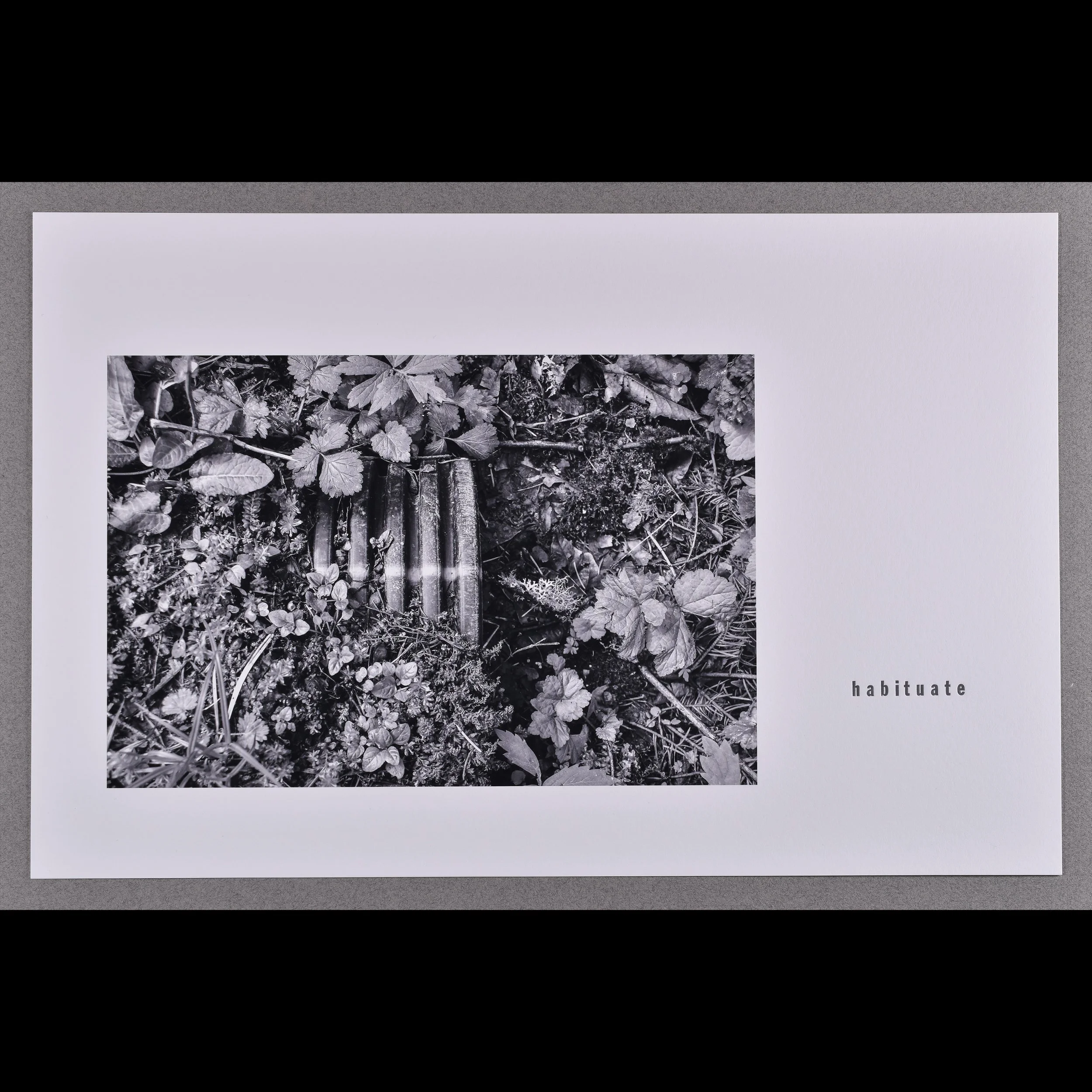 drainage 2, habituate, 2025, archival inkjet print with letterpress text, 11 x 17"