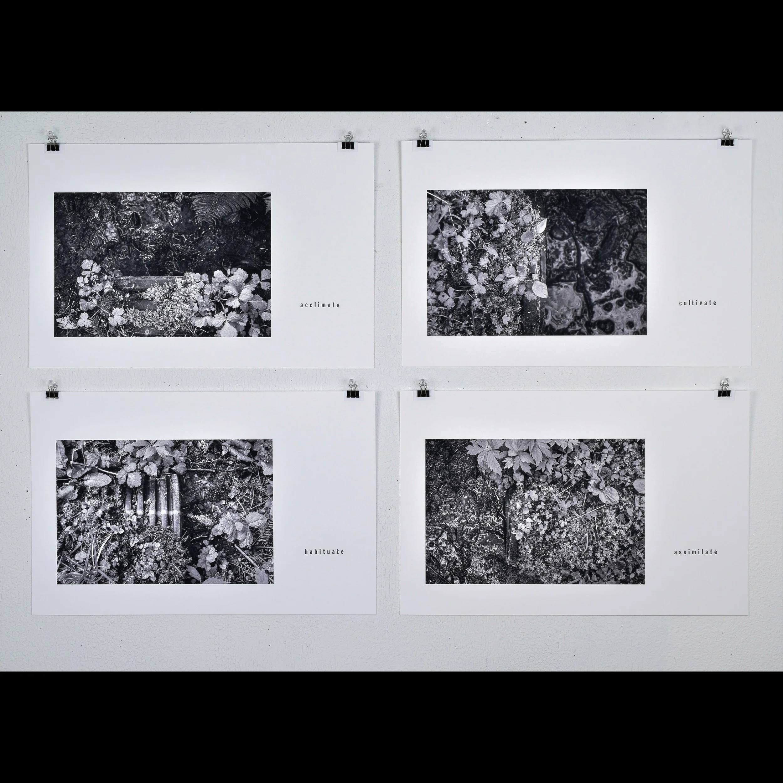 drainage 1-4, 2025, archival inkjet print with letterpress text, 11 x 17"