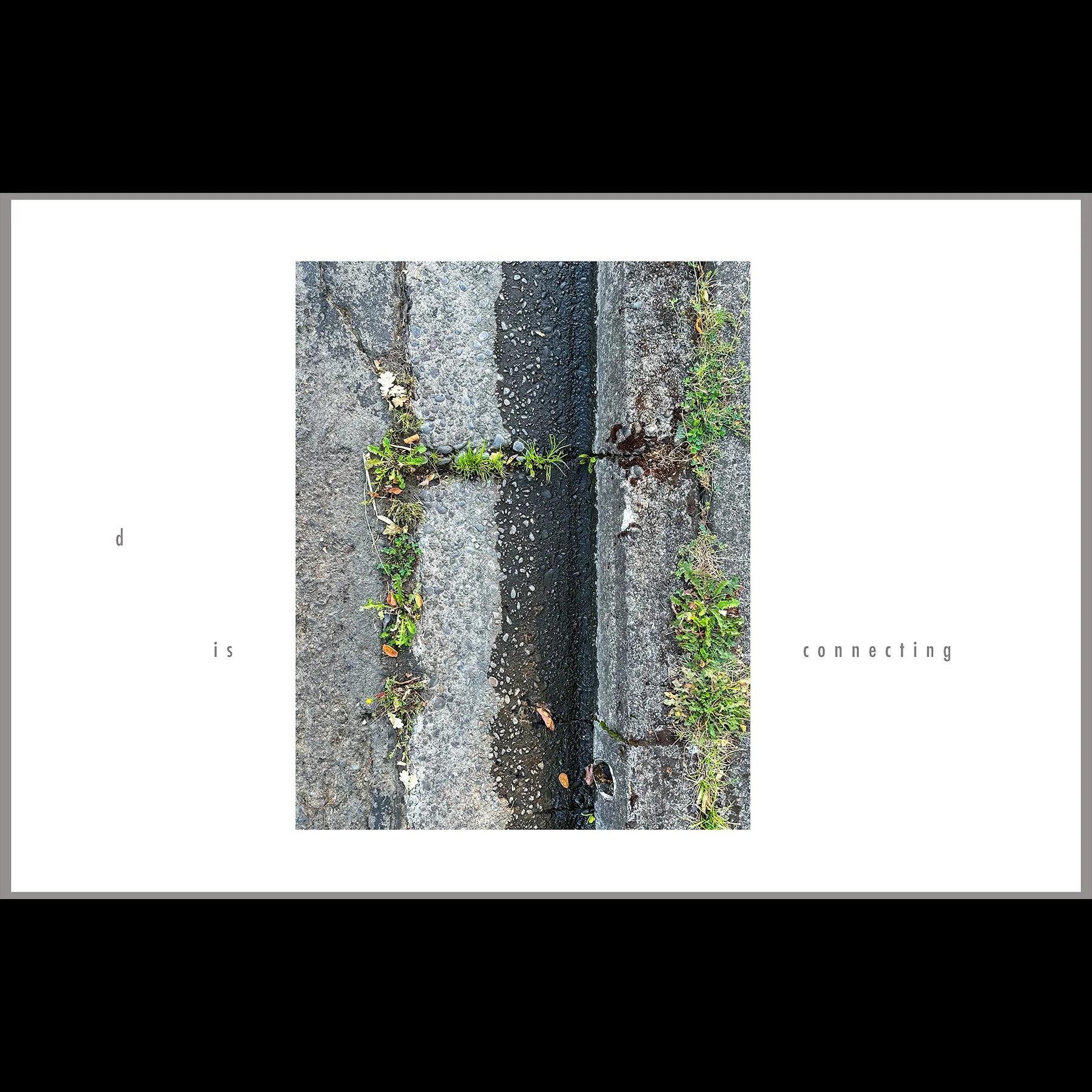d is connecting, 2026, archival inkjet print with letterpress text, 11 x 17"
