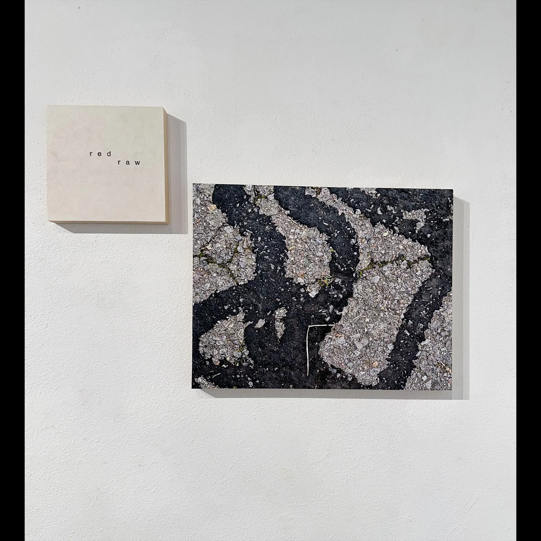 redraw (diptych), 20206, archival inkjet print and letterpress print mounted on wood panels, 18 x 24" approx 