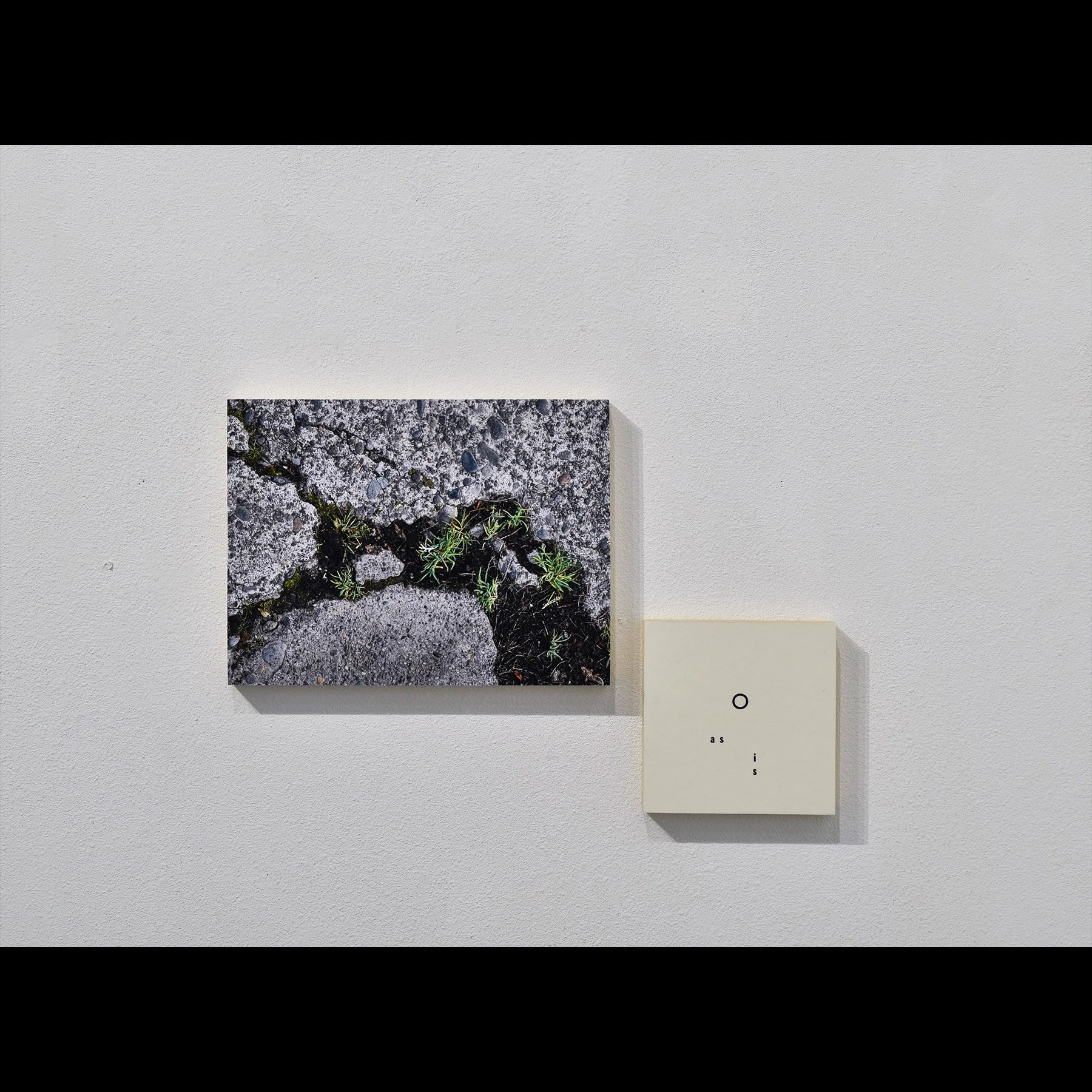 o as is (diptych), 20206, archival inkjet print and letterpress print mounted on wood panels, 16 x 20" approx 
