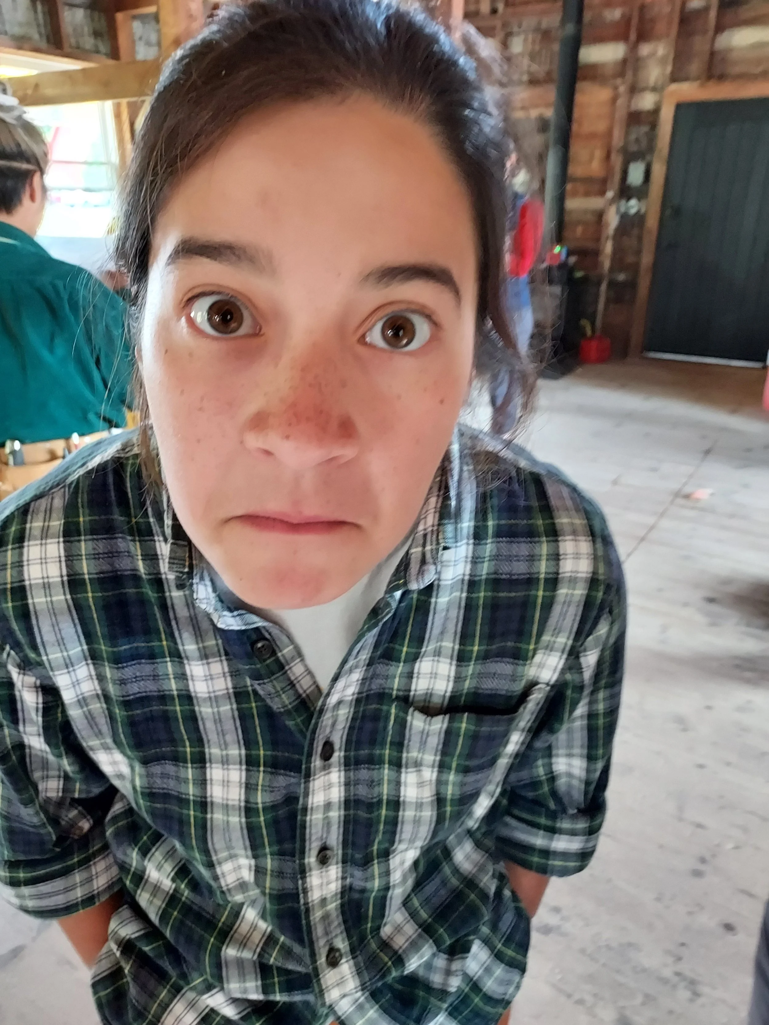 Instructor, We Built This, Introduction to Carpentry