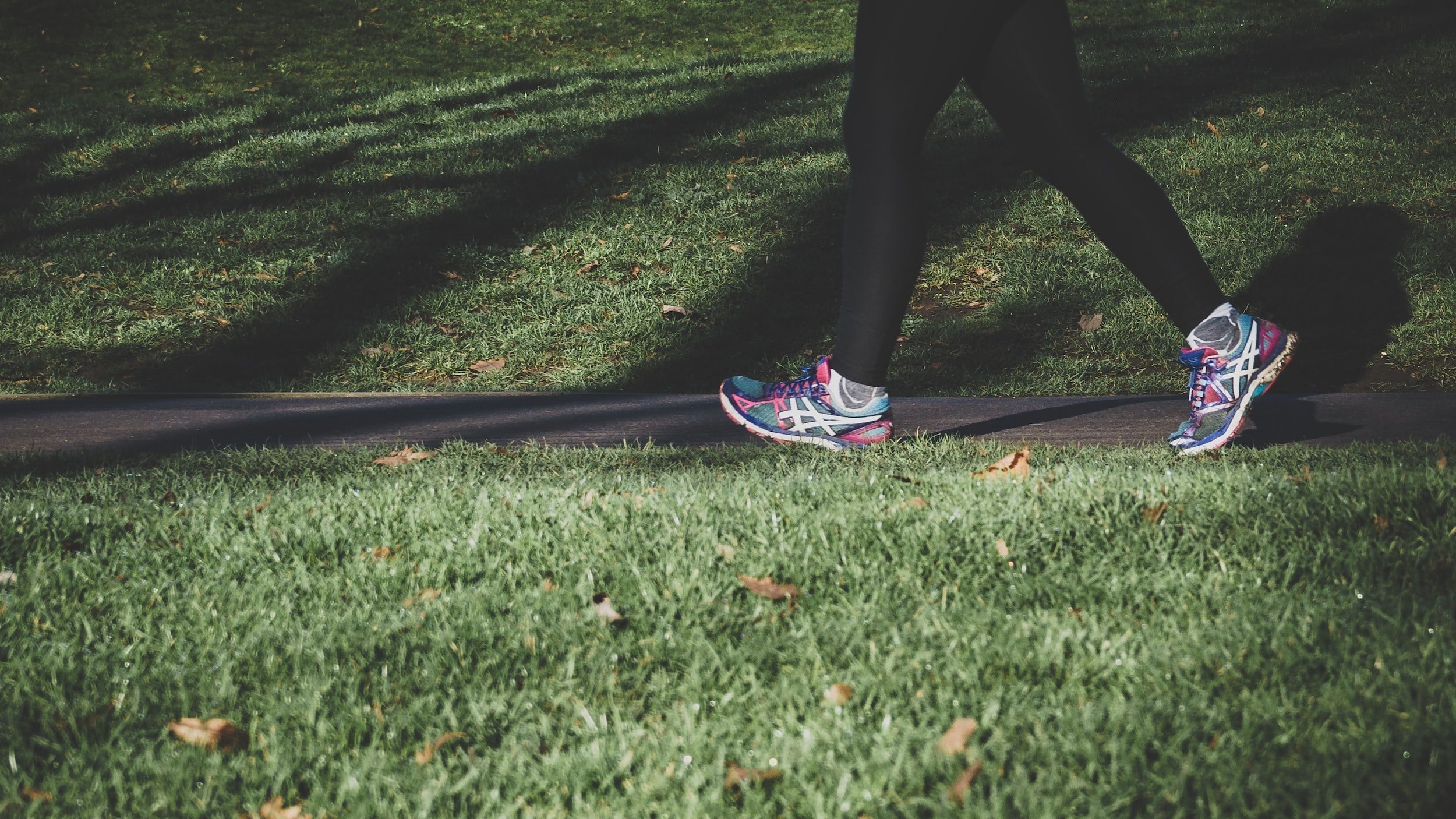 Physical Wellness
